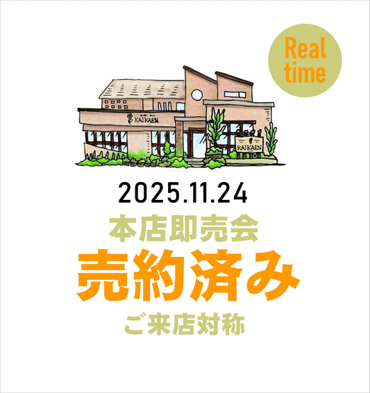 11/24 RIALTIME本店 Lee412.様売約 サンスベリア