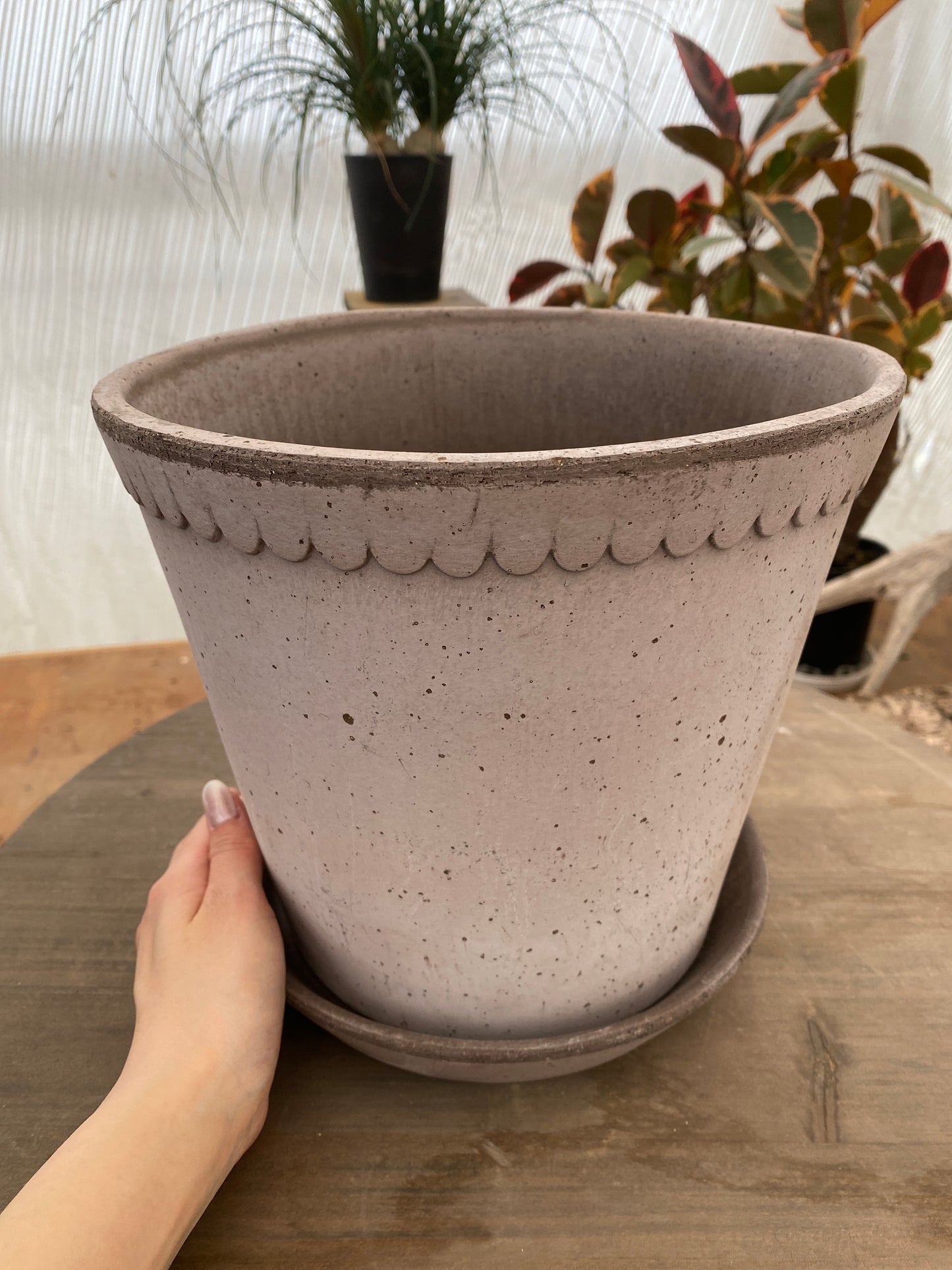 BERGS　ヘレナ25　グレー