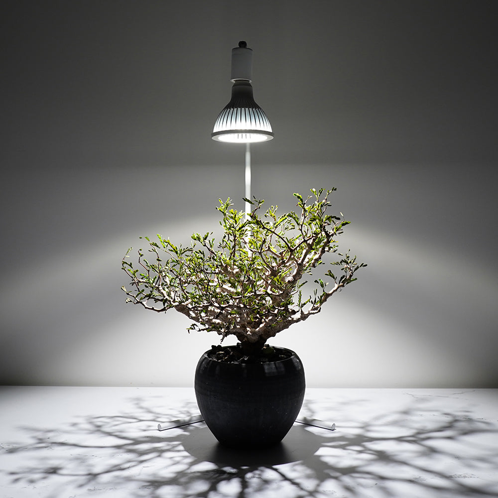 植物育成LEDライトスタンド［ウォールナット］LED2個付 - 観葉植物