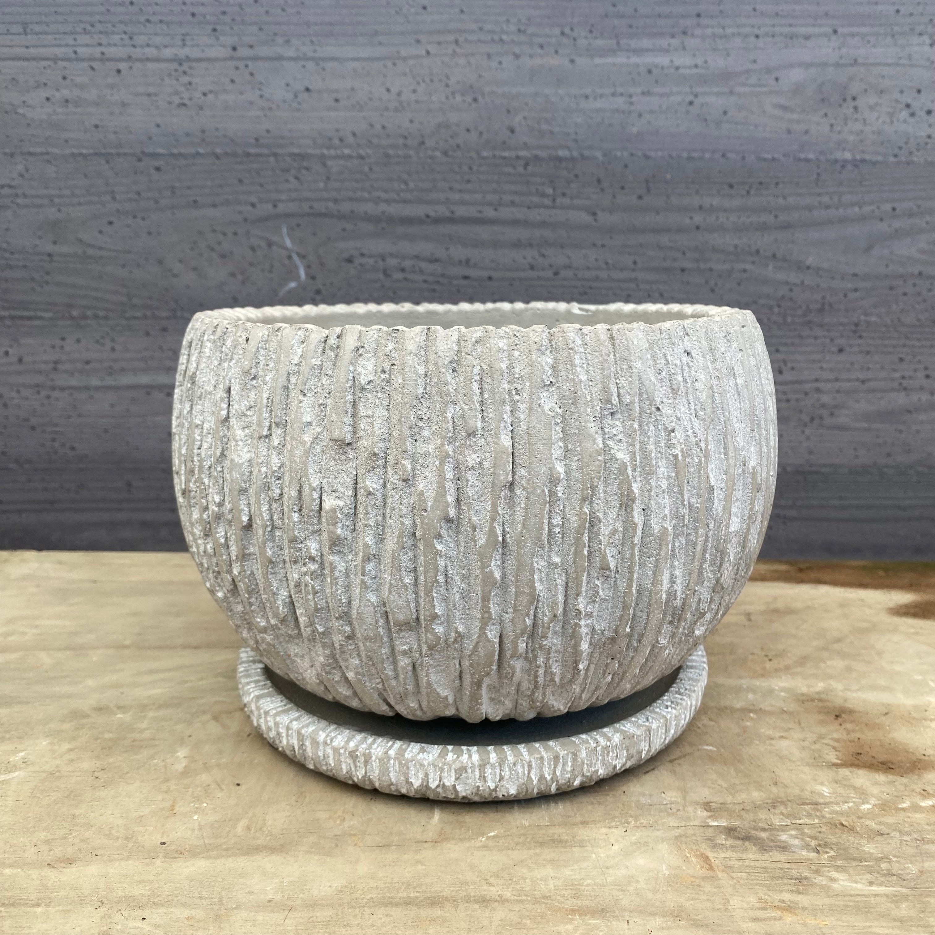 No.08006 白陶器鉢 – 植物家族