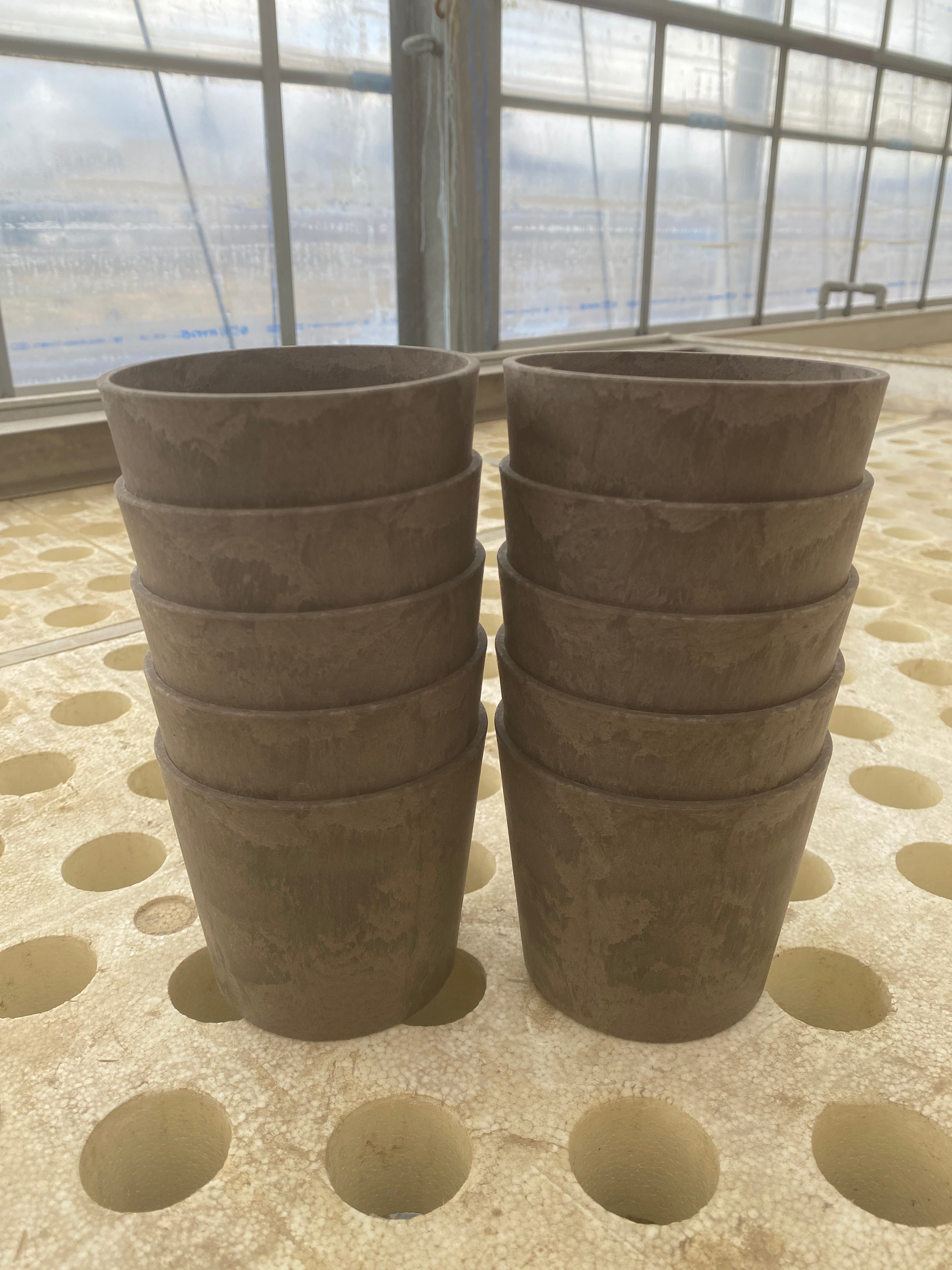 商品 – 植物家族