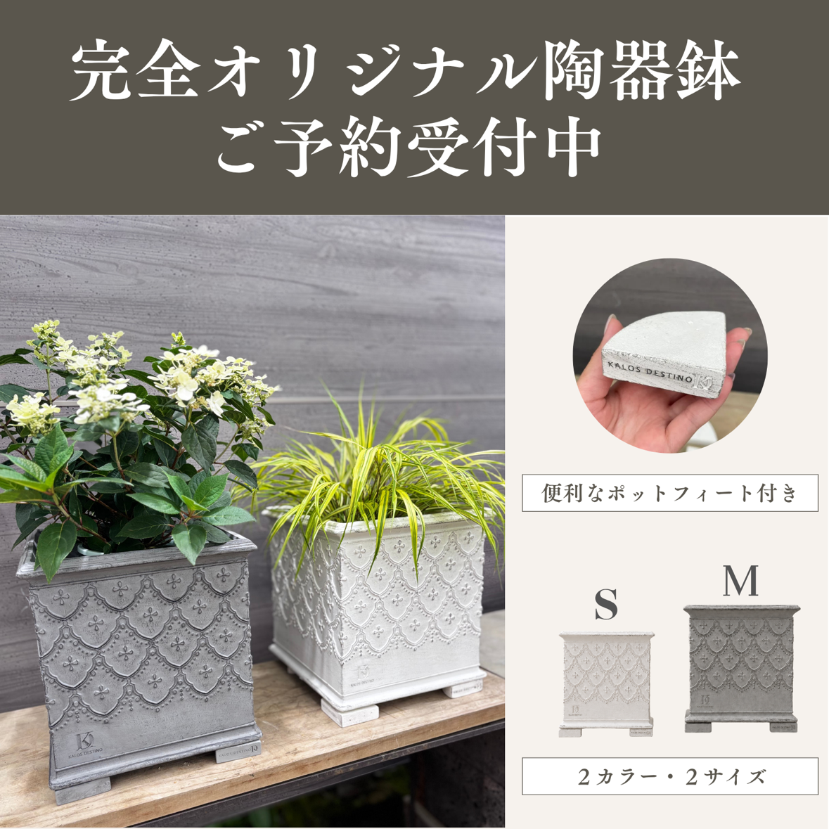 デザイン、重さ、通気性、大きさなど細部までこだわったオリジナル鉢完成しました！お届けは９月下旬頃を予定しています
