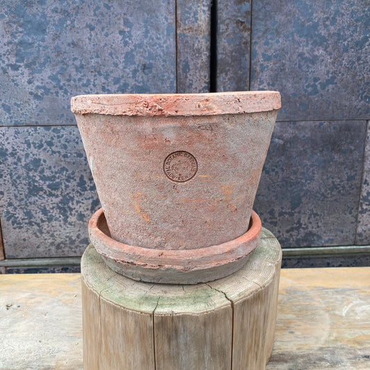 No.05024　”OUTLET ”ランカキューレッド　M