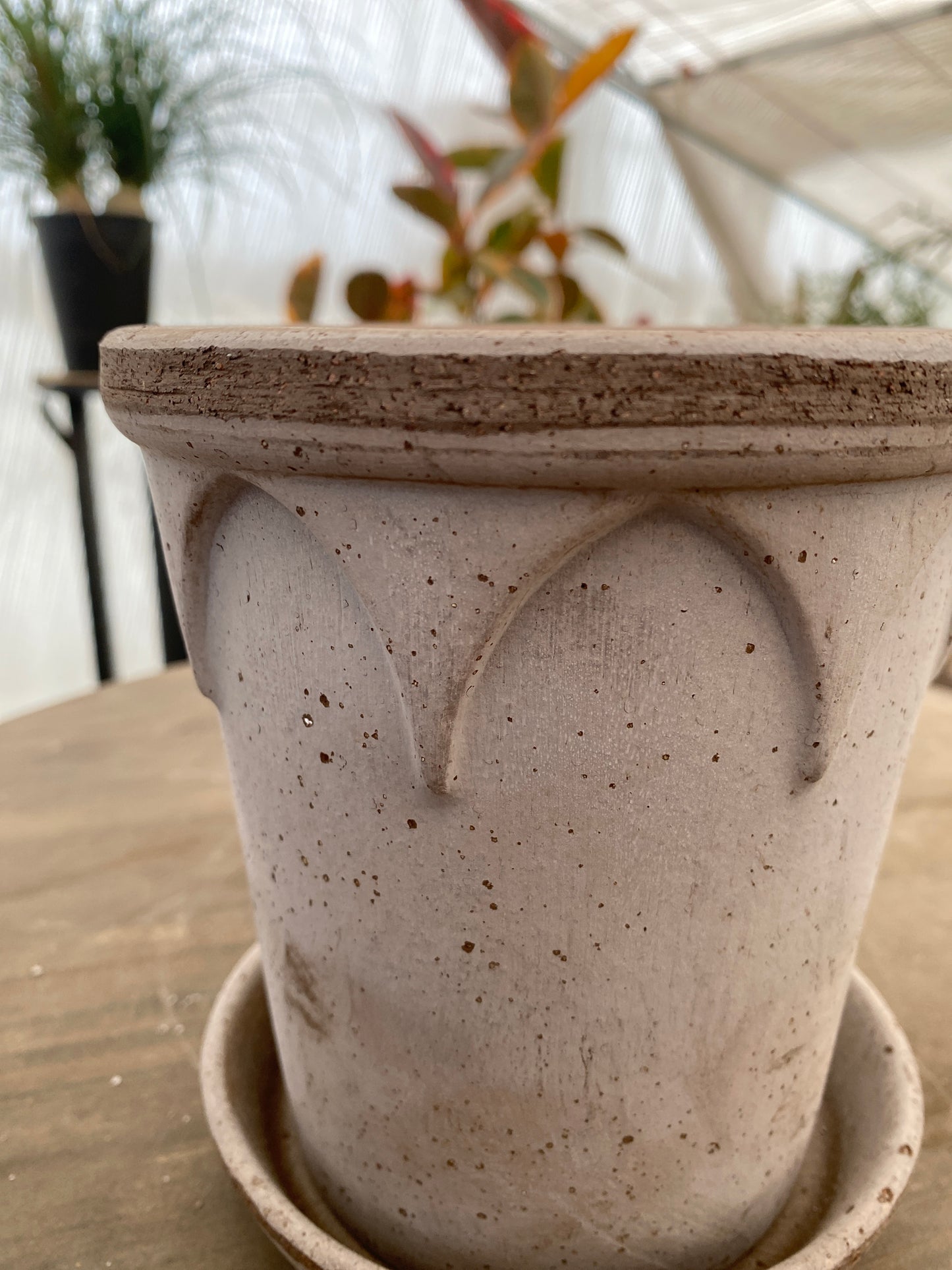 BERGS　エリザベス14　グレー