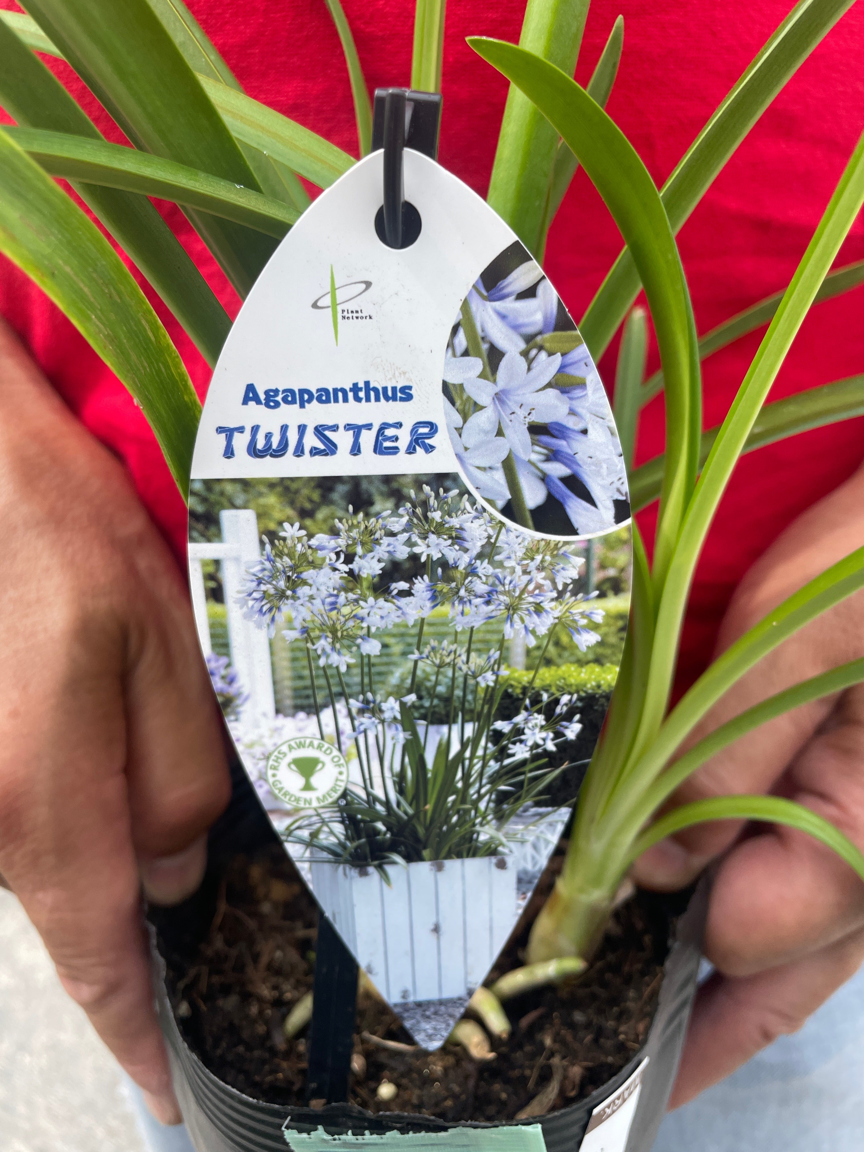 Pickup 全ての商品 – 植物家族