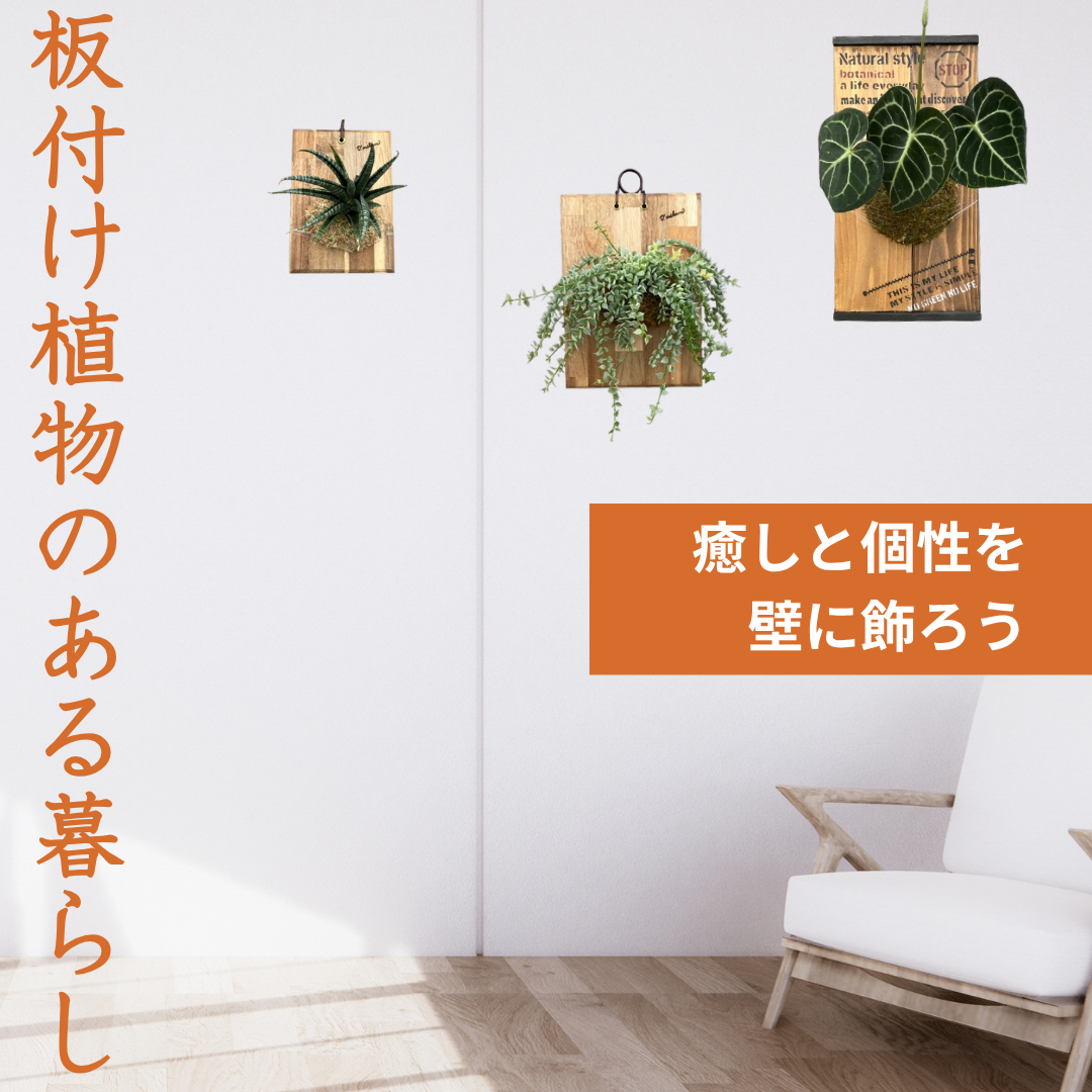 鉢植えとは違う、板付け植物ならではの壁や空間に緑を飾る新しいスタイル！
