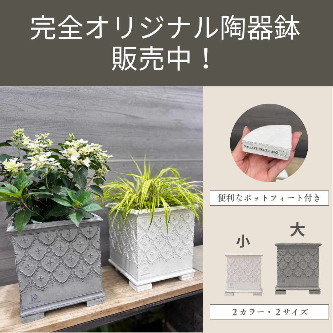 売れてます！！デザイン、重さ、通気性、大きさなど細部までこだわったオリジナル鉢 ★サイン入りも販売中★小さいサイズには5号鉢、大きいサイズには7号鉢がぴったりです！