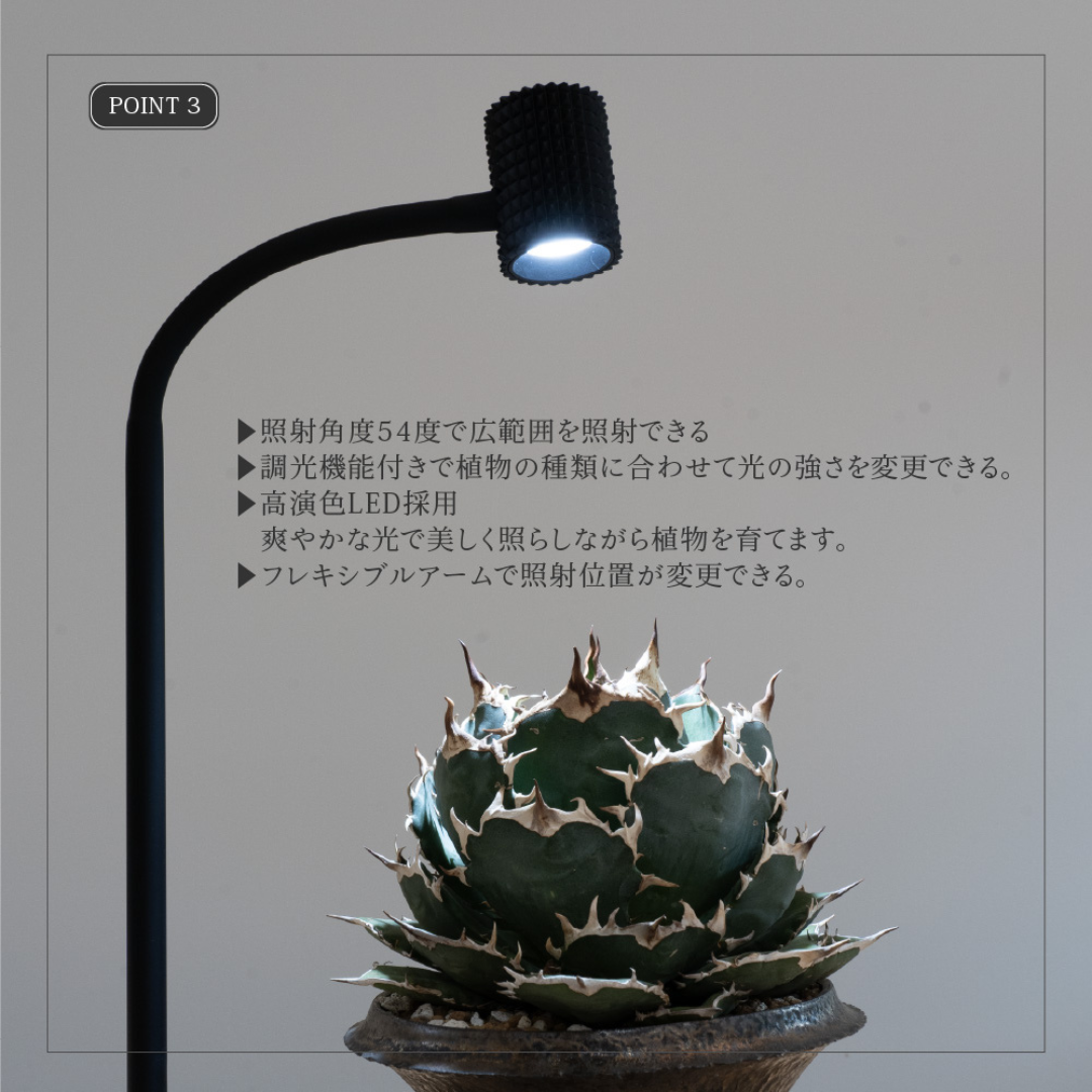 植物育成LED  室内太陽光LED スタンドライト (黒タイプ）