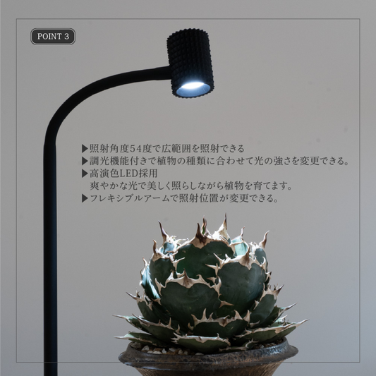 ★★予約販売★★　植物育成LED  室内太陽光LED スタンドライト (黒タイプ）