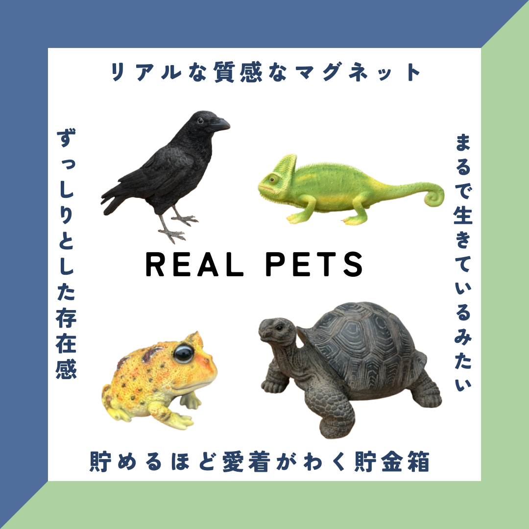 思わず二度見！リアルなペットシリーズ雑貨！