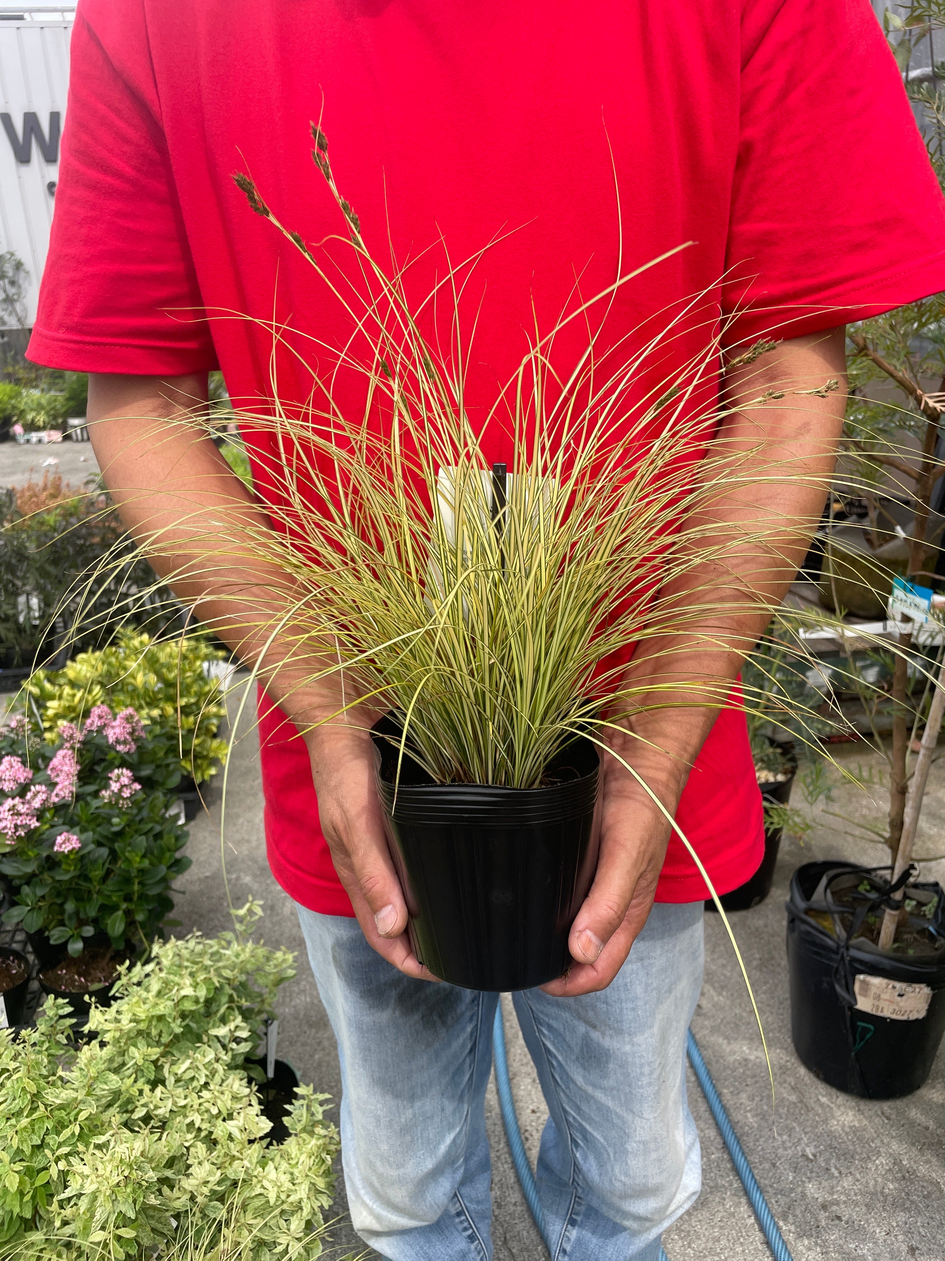 社長おすすめ生産者 – 植物家族