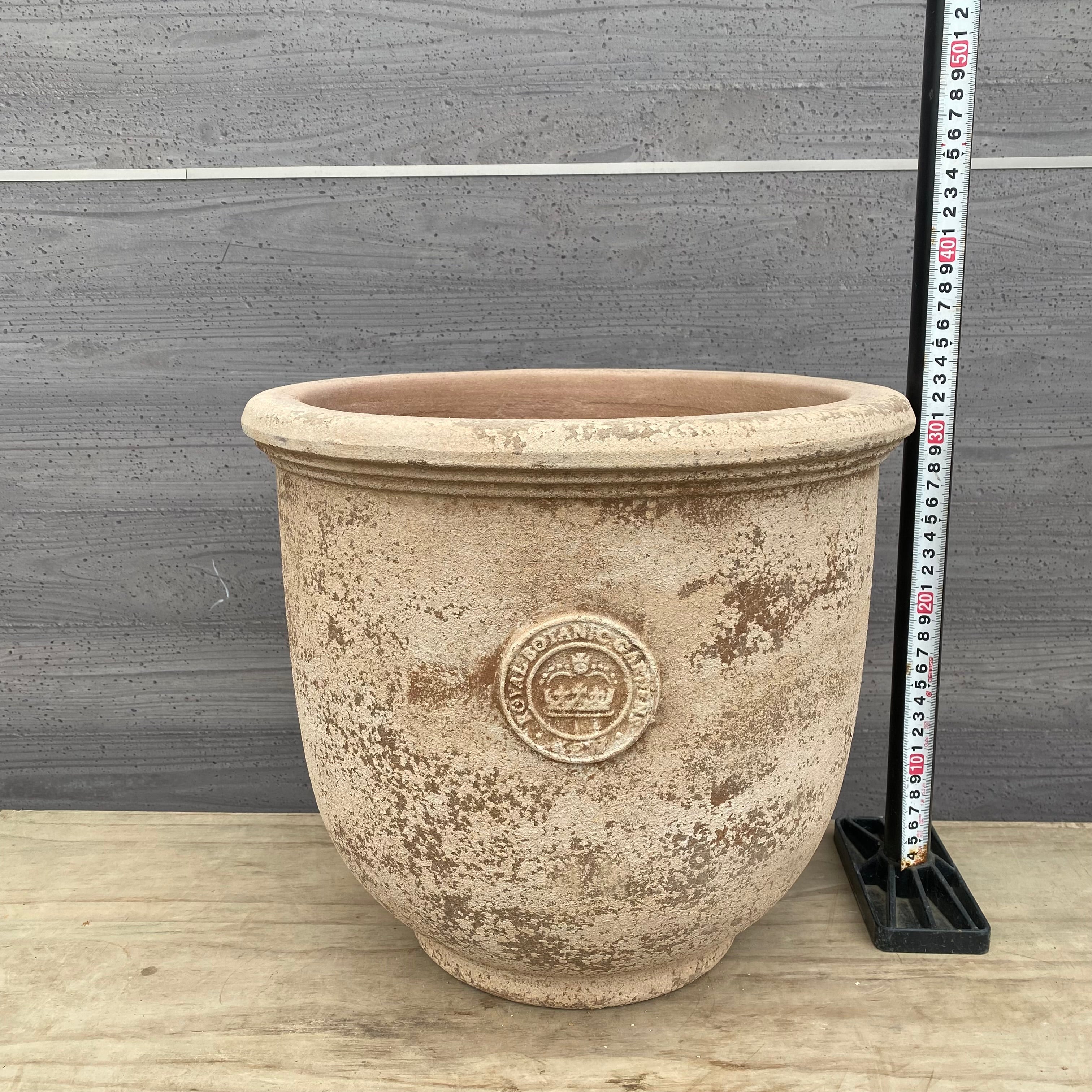 Pickup 全ての商品 – 植物家族