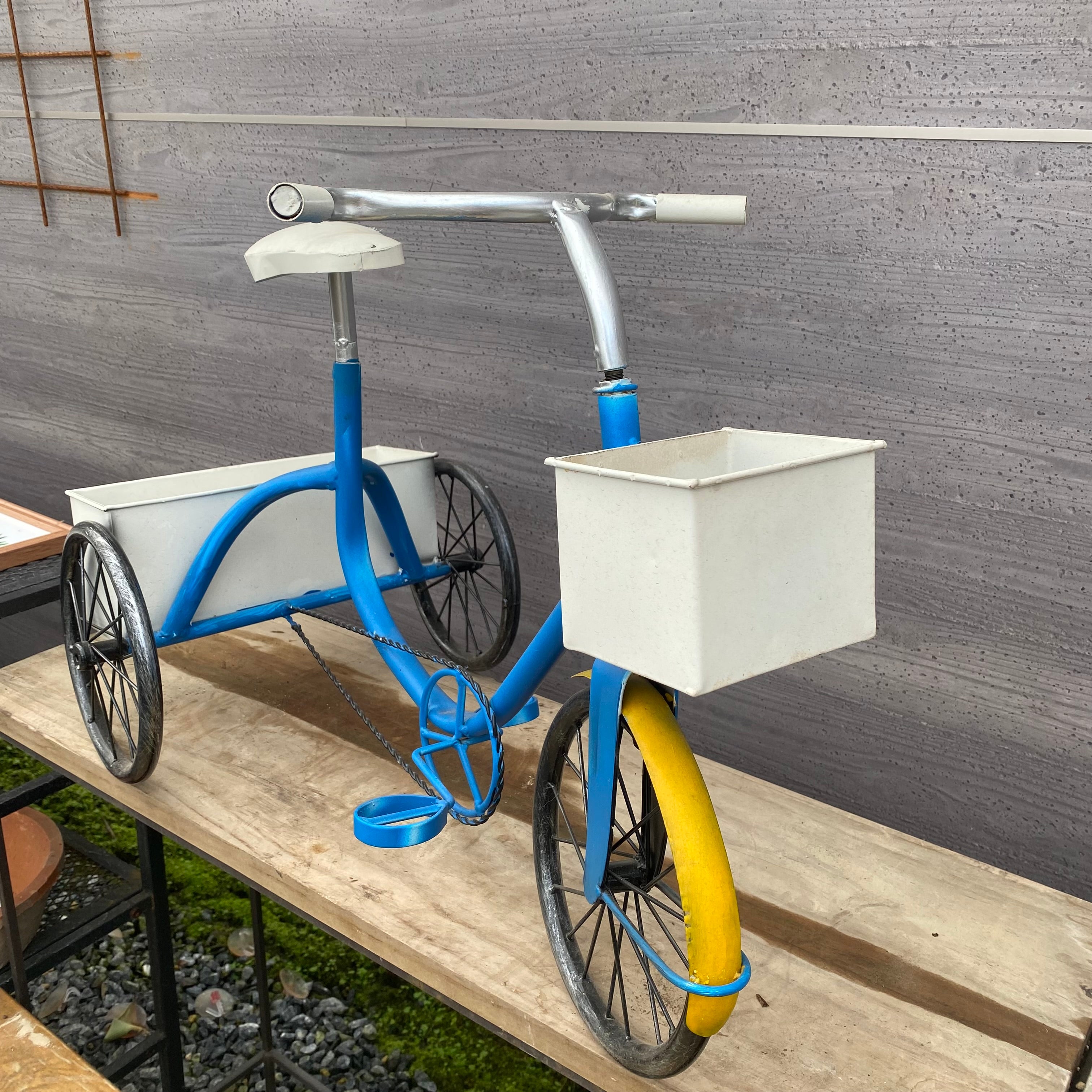 Pickup 全ての商品 – 植物家族