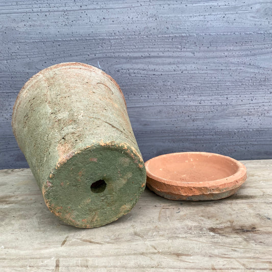 No.05025 ”OUTLET ”ランカトールレッド M