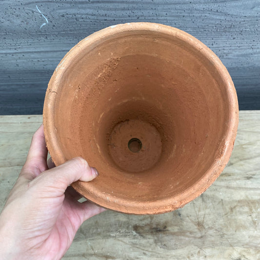 No.05025　”OUTLET ”ランカトールレッド　M