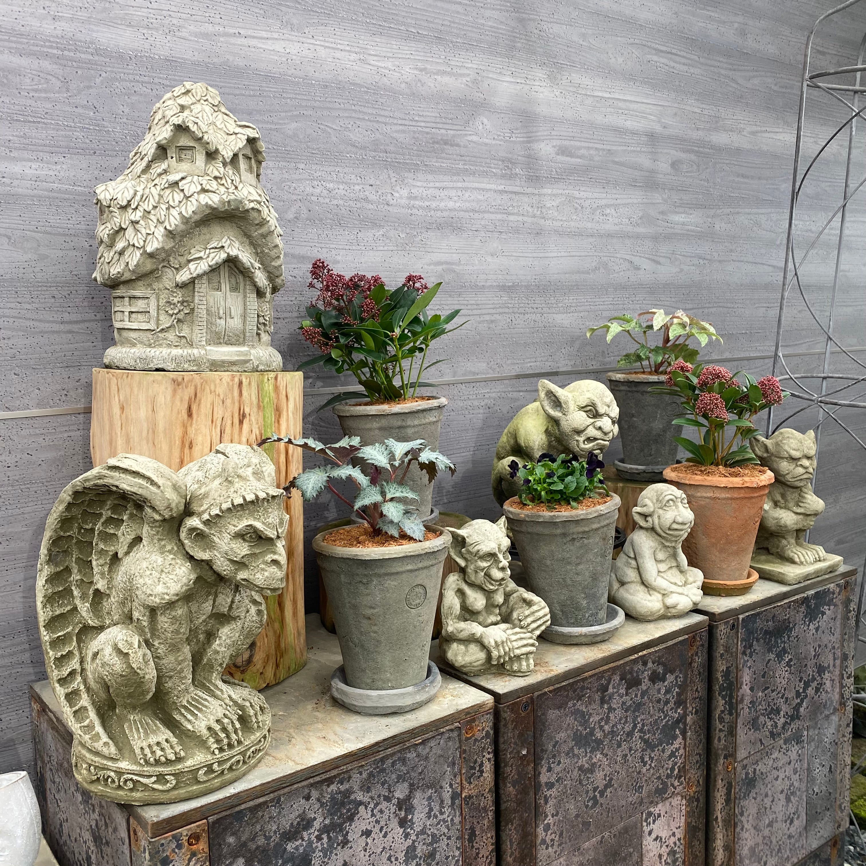 ランカ キューポット グレー S ROYAL BOTANIC GARDENS-KEW- – 植物家族