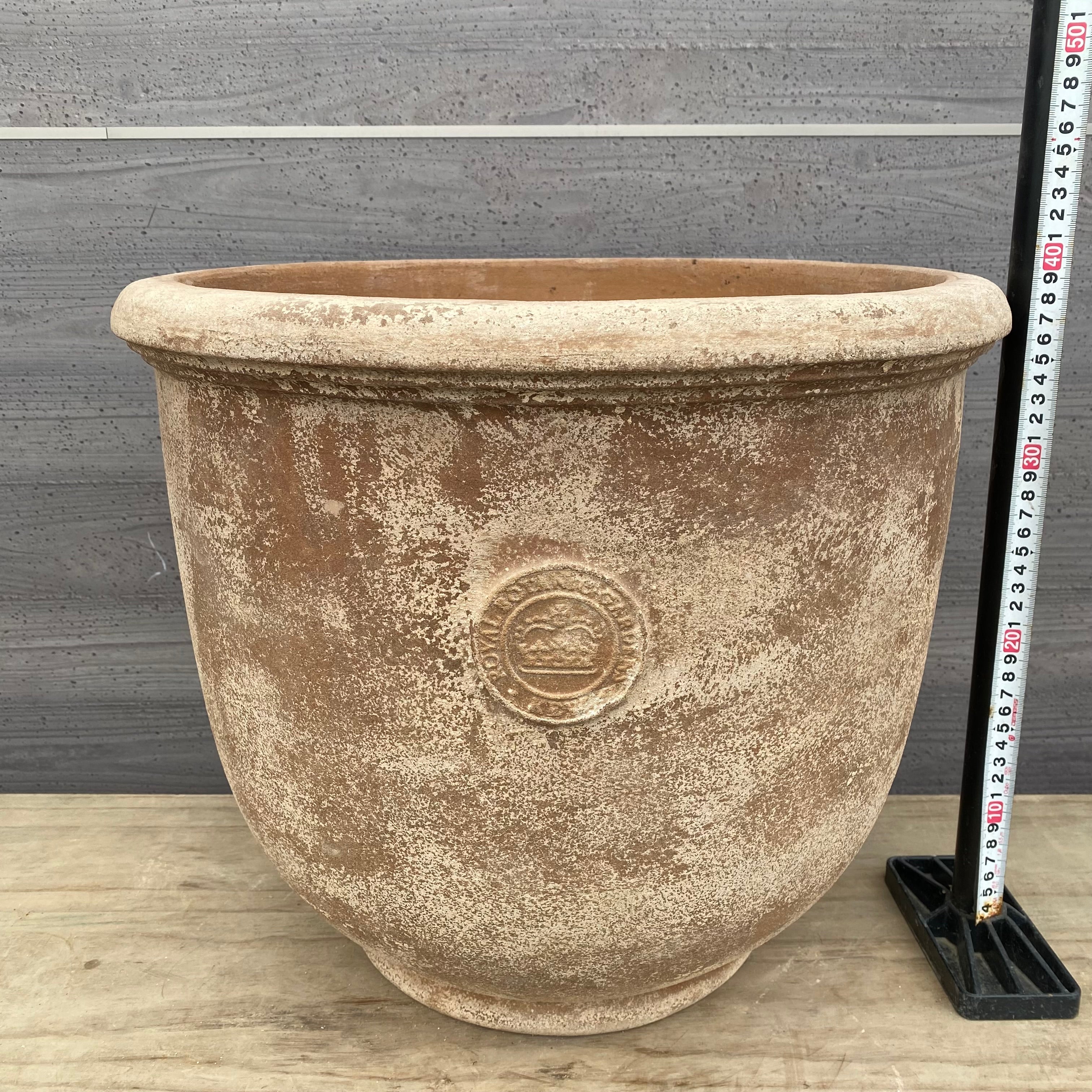 Pickup 全ての商品 – 植物家族