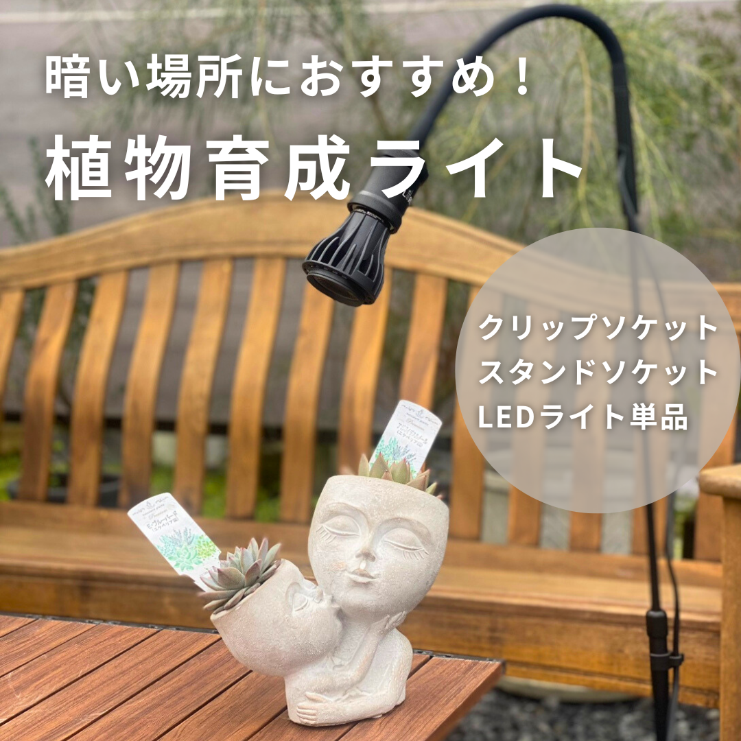 暗い場所にもおすすめ！ぐんぐん育つ【植物育成LEDライト】