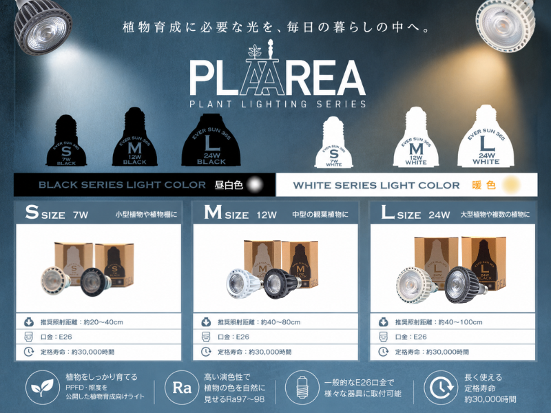 エバーサン365　ブラック　L(24W)　昼白色