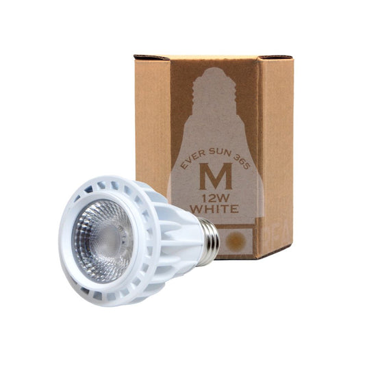 エバーサン365 ホワイト M(12W) 暖色