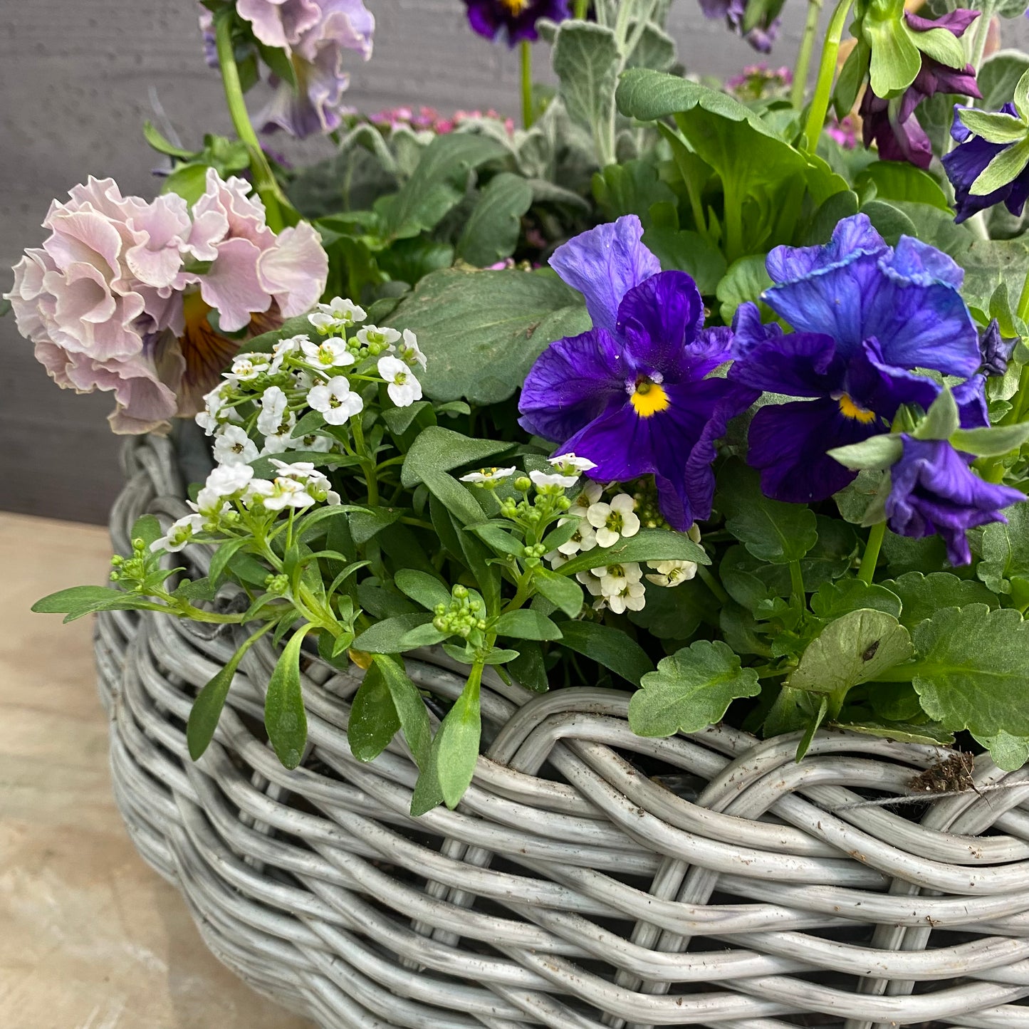 寄せ植えO　ゆりかごバスケットグレー