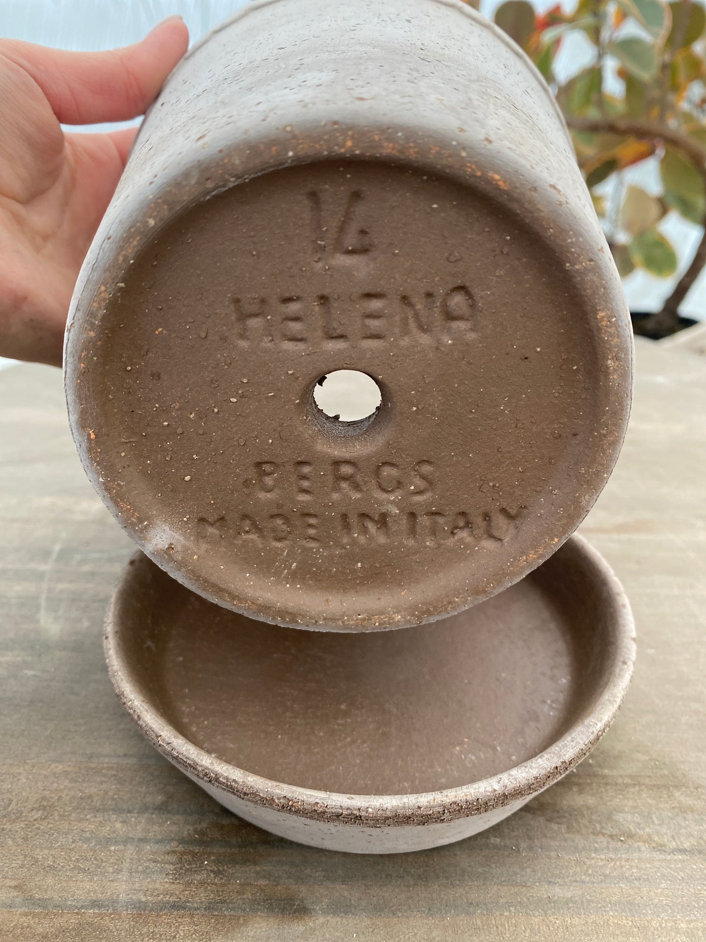 BERGS　ヘレナ14　グレー