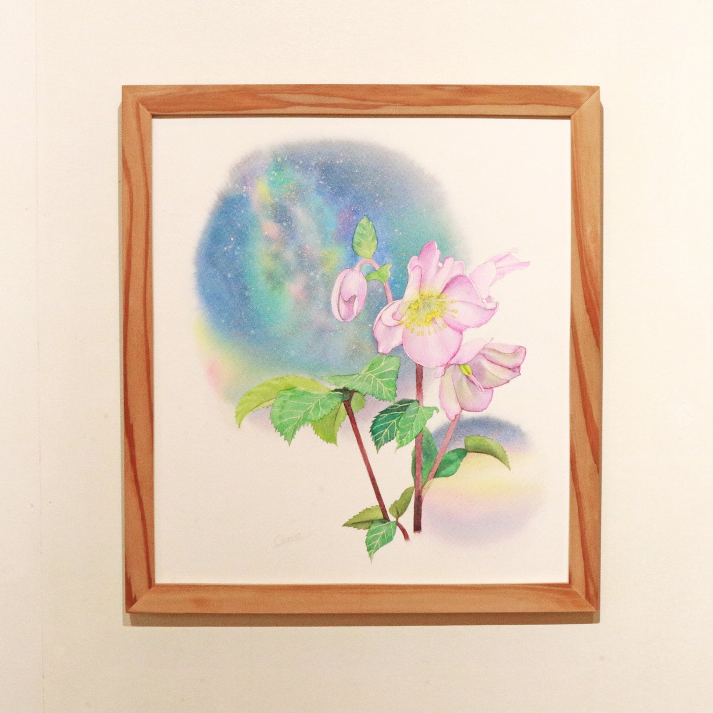 原画★クリスマスローズ　33.3×30cm