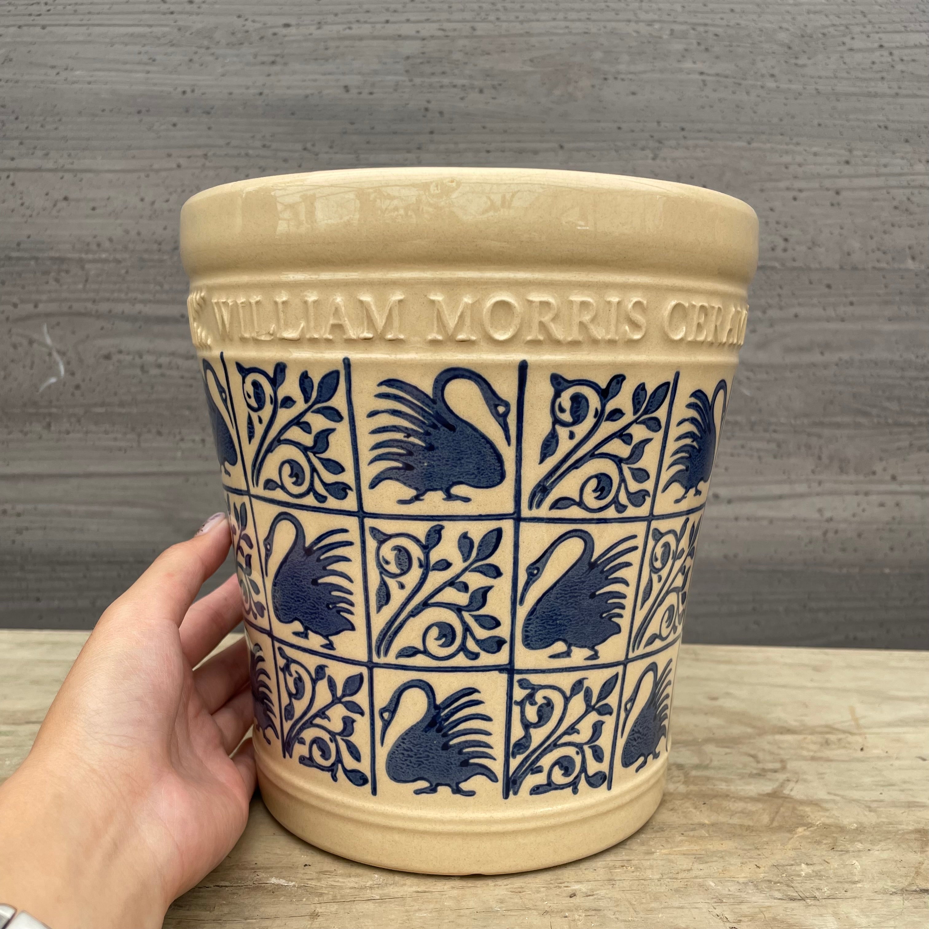 ウミノモリ軽石鉢 William Morris陶器鉢 Cタイプ M – 植物家族