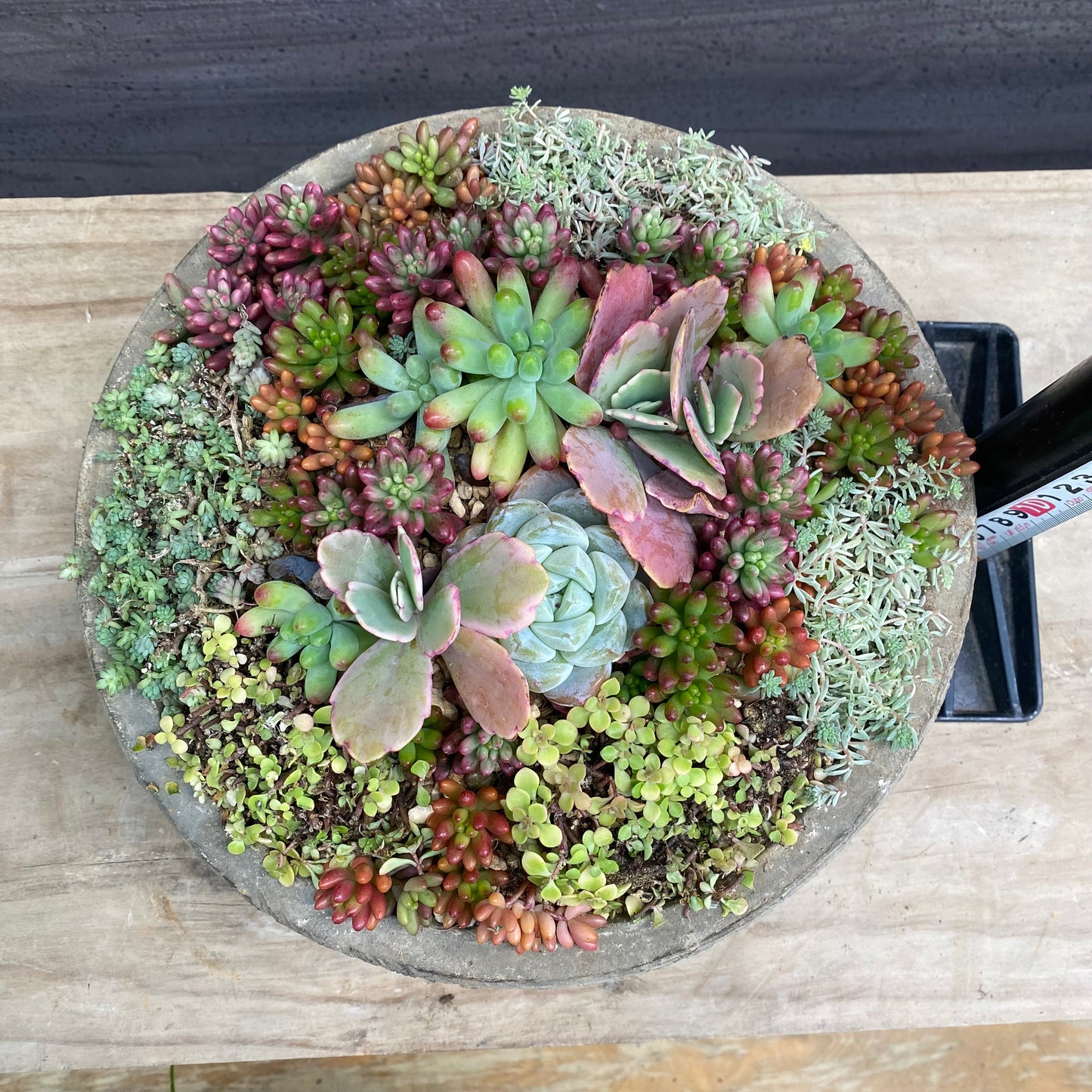 寄せ植えI　キューガーデンポット