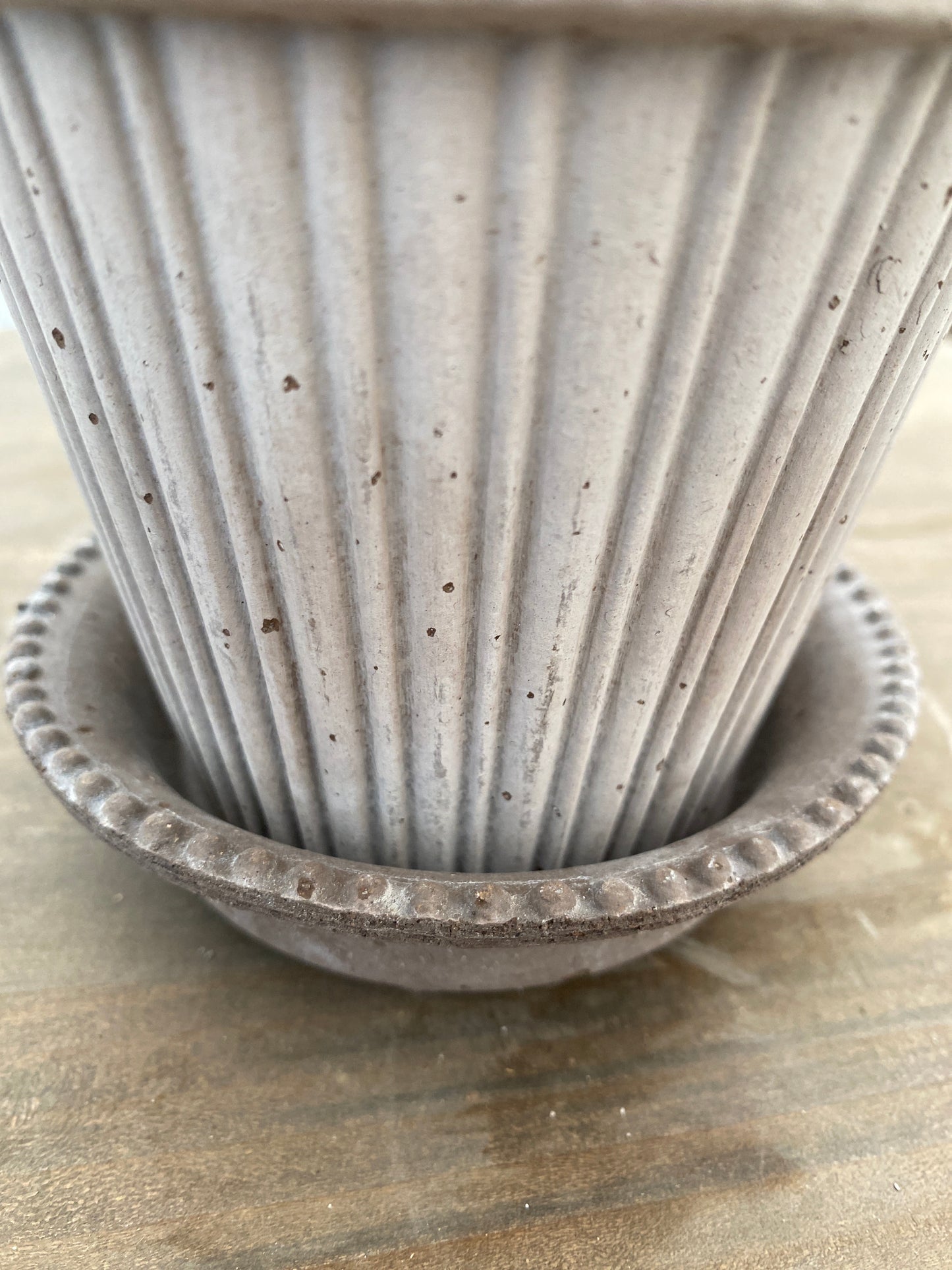 BERGS　シモナ12　グレー