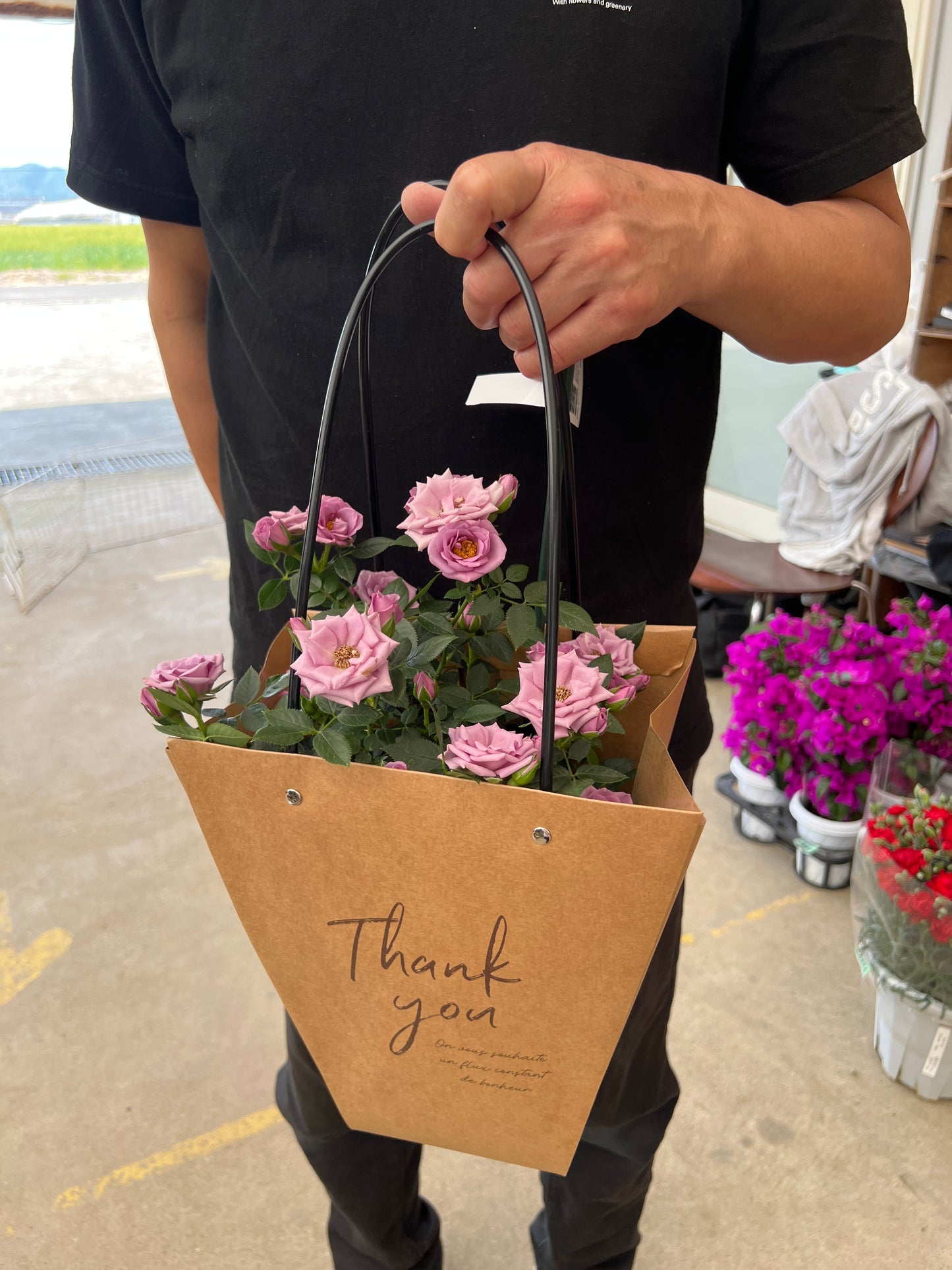 即売会SALE　No.28003　ミニバラ　スウィートエンジェル　5号鉢　バッグ付き