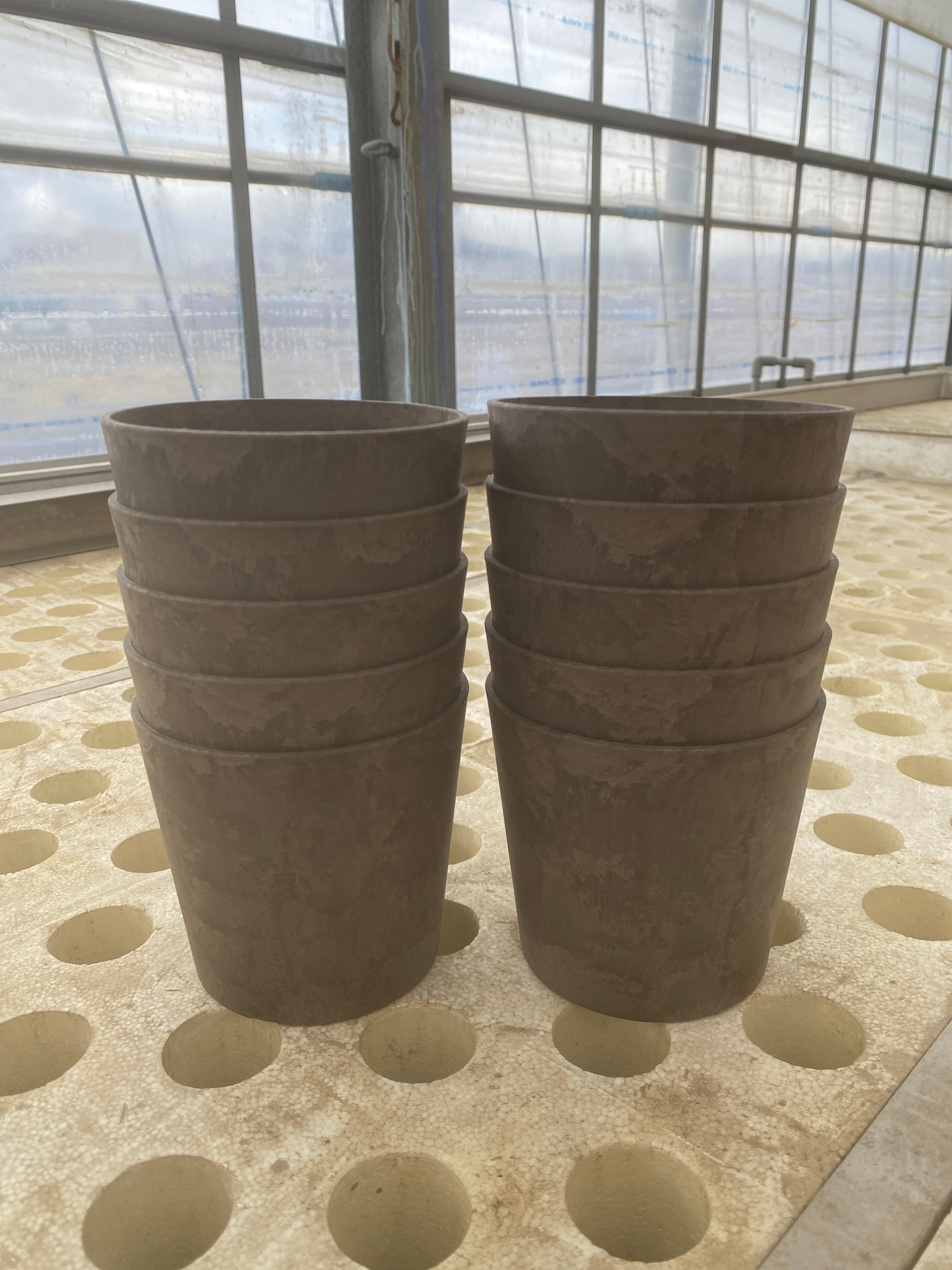 商品 – 植物家族