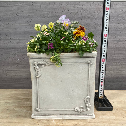 寄せ植えN 白陶器鉢