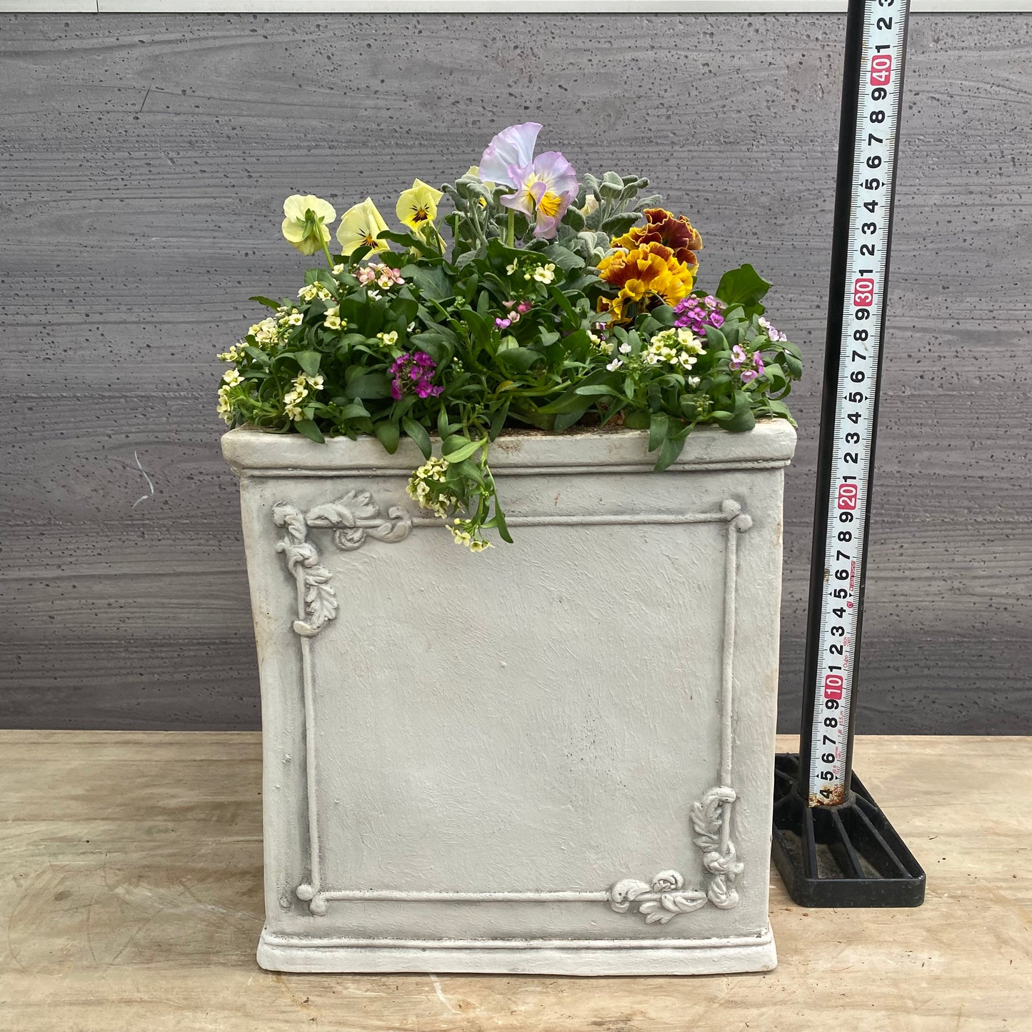 寄せ植えN　白陶器鉢