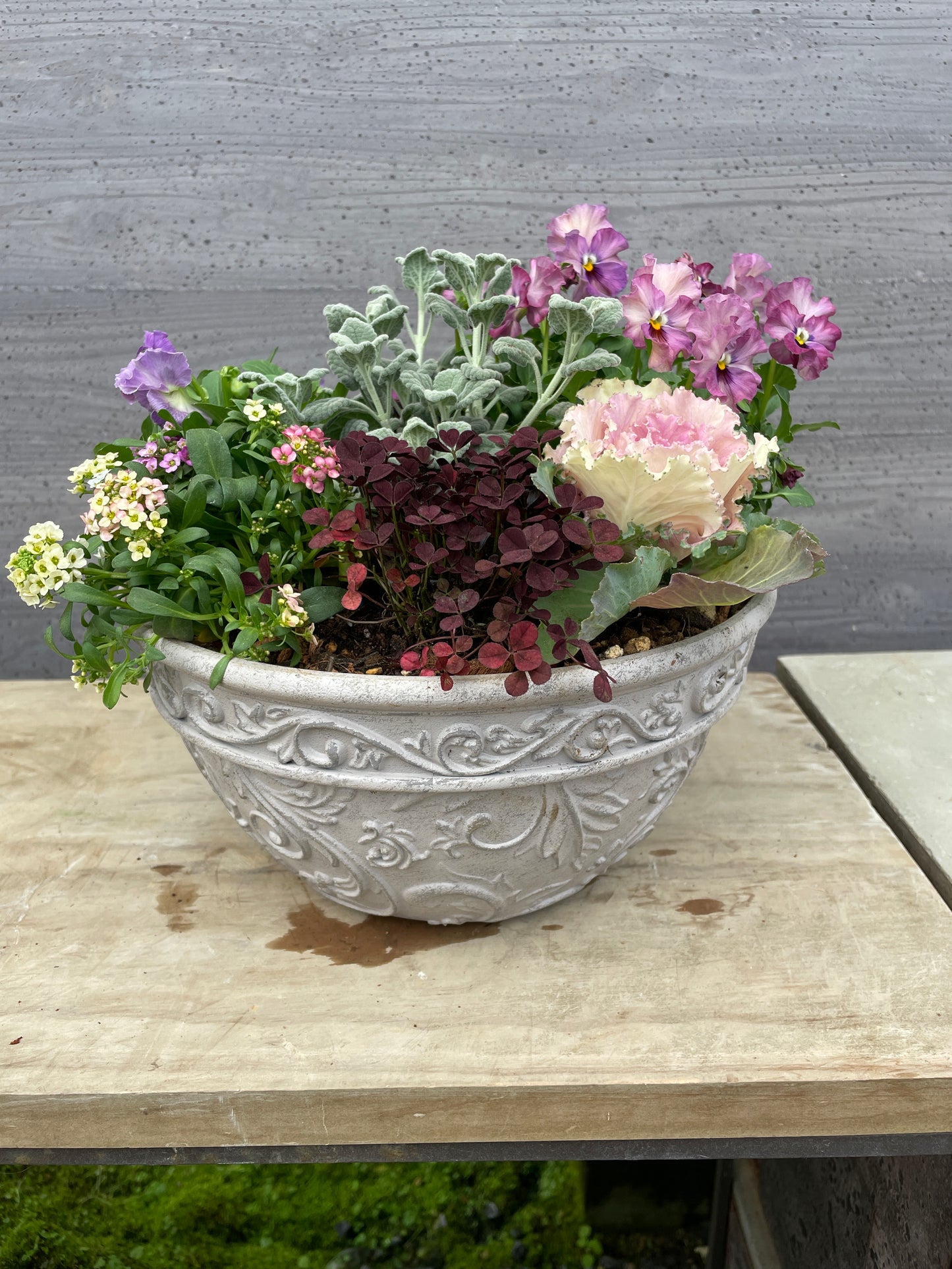 寄せ植え （プラスチック鉢）