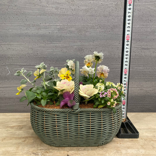 寄せ植えA バスケット