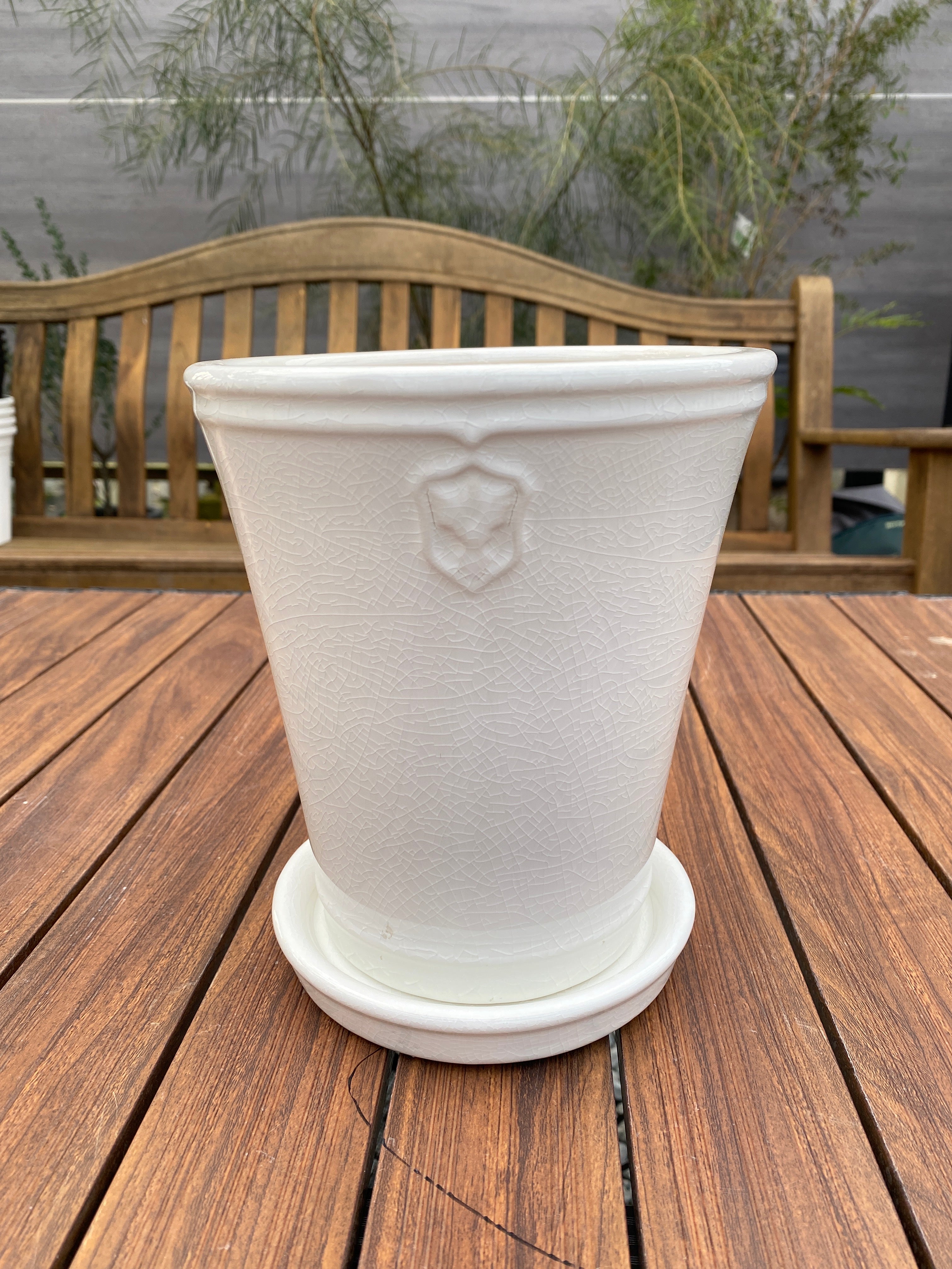 Pickup 全ての商品 – 植物家族