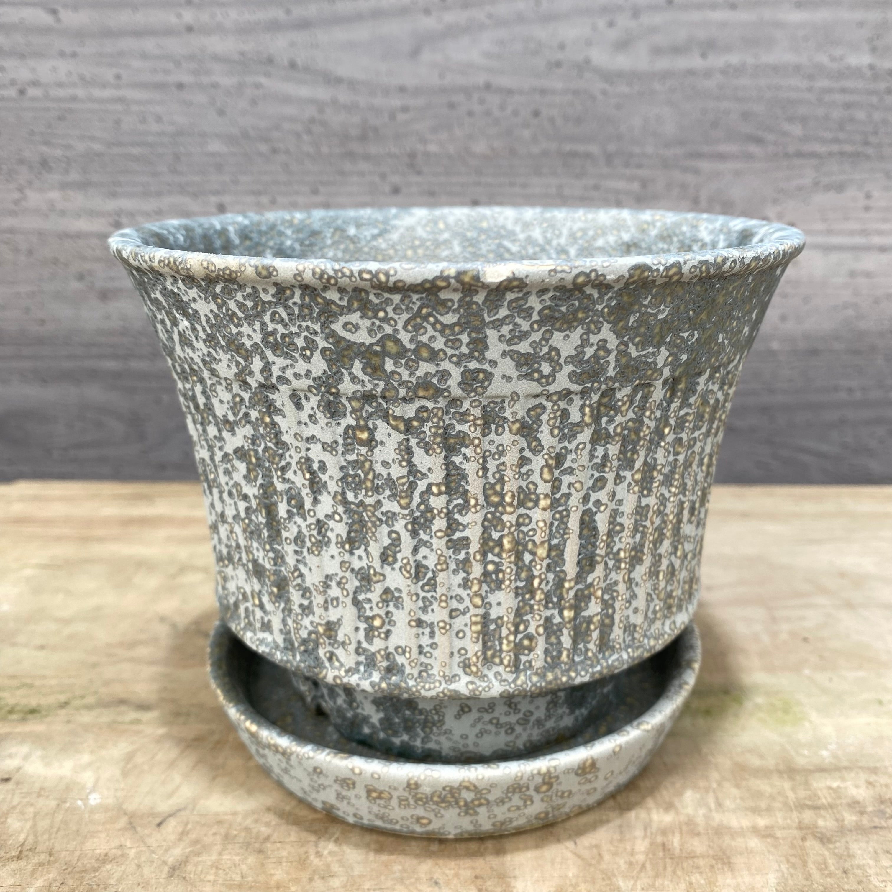 陶器鉢・素焼き鉢・ブランド鉢 – 植物家族
