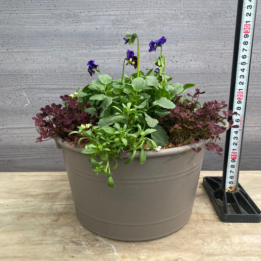 寄せ植えL 手つきポットグレー