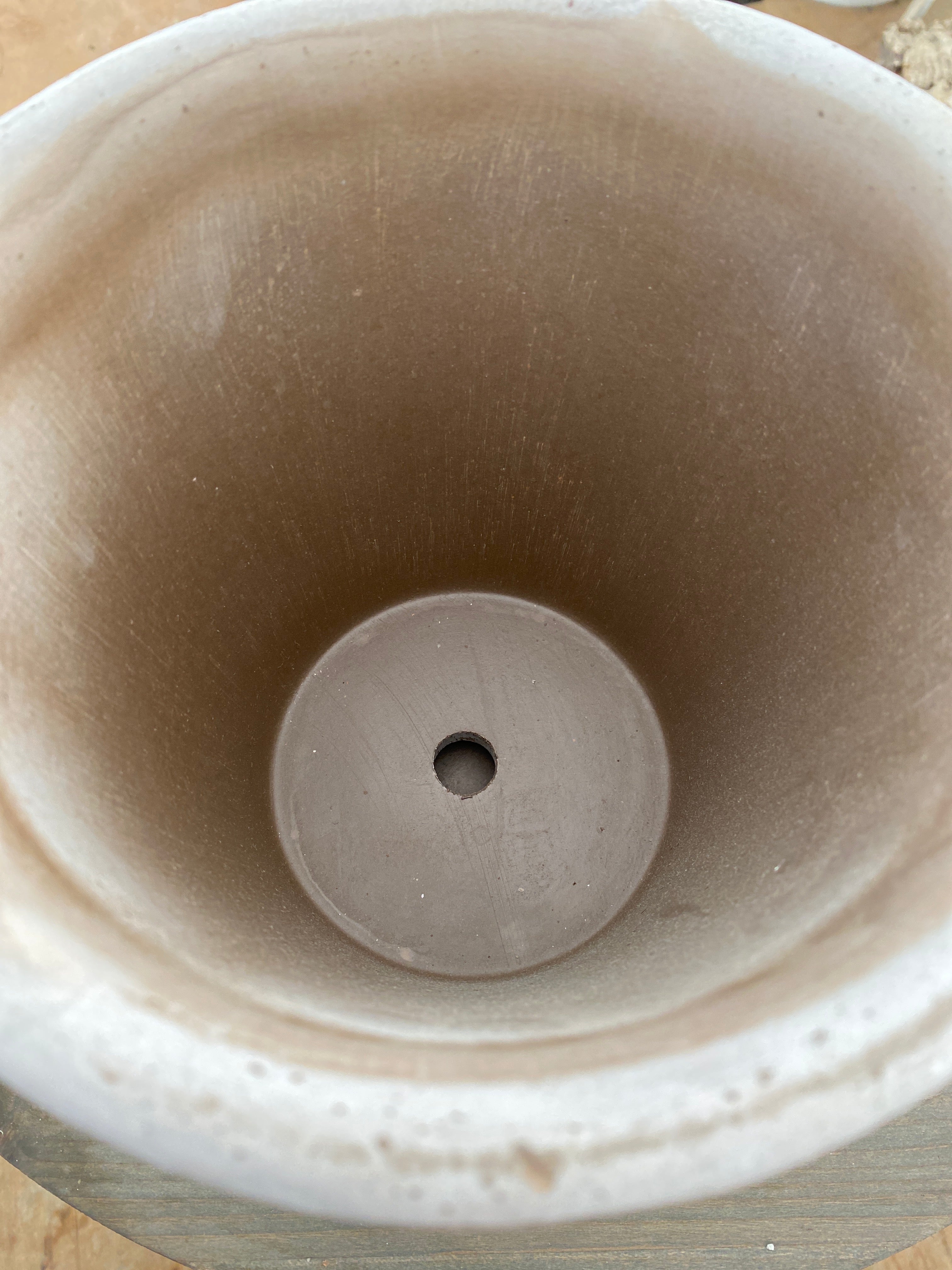 商品 – 植物家族