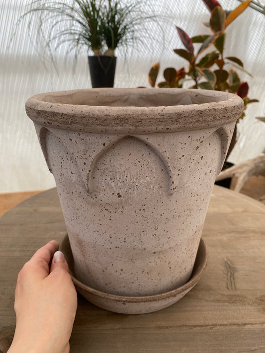 BERGS エリザベス21 グレー