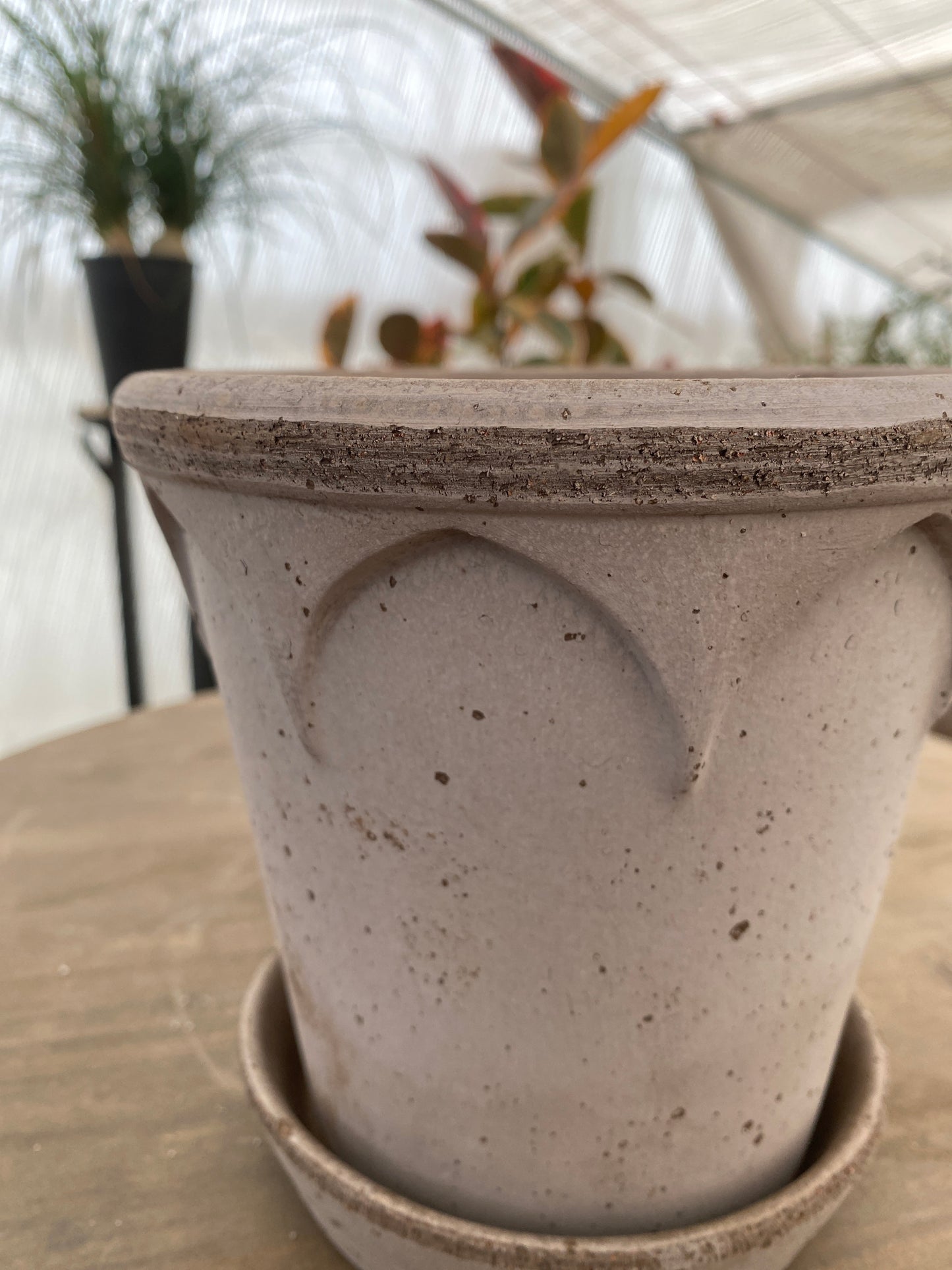 BERGS　エリザベス16　グレー