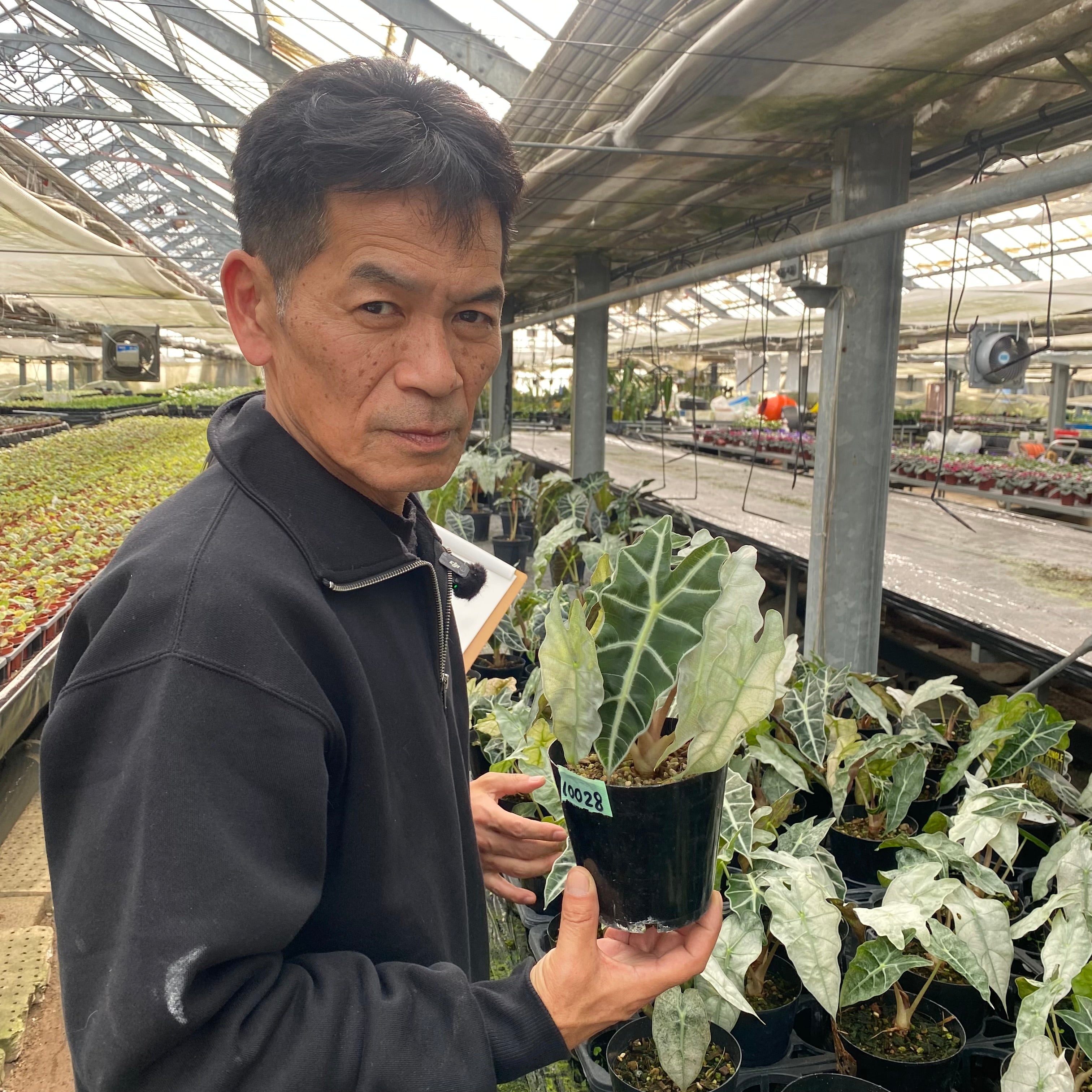 Pickup 全ての商品 – 植物家族