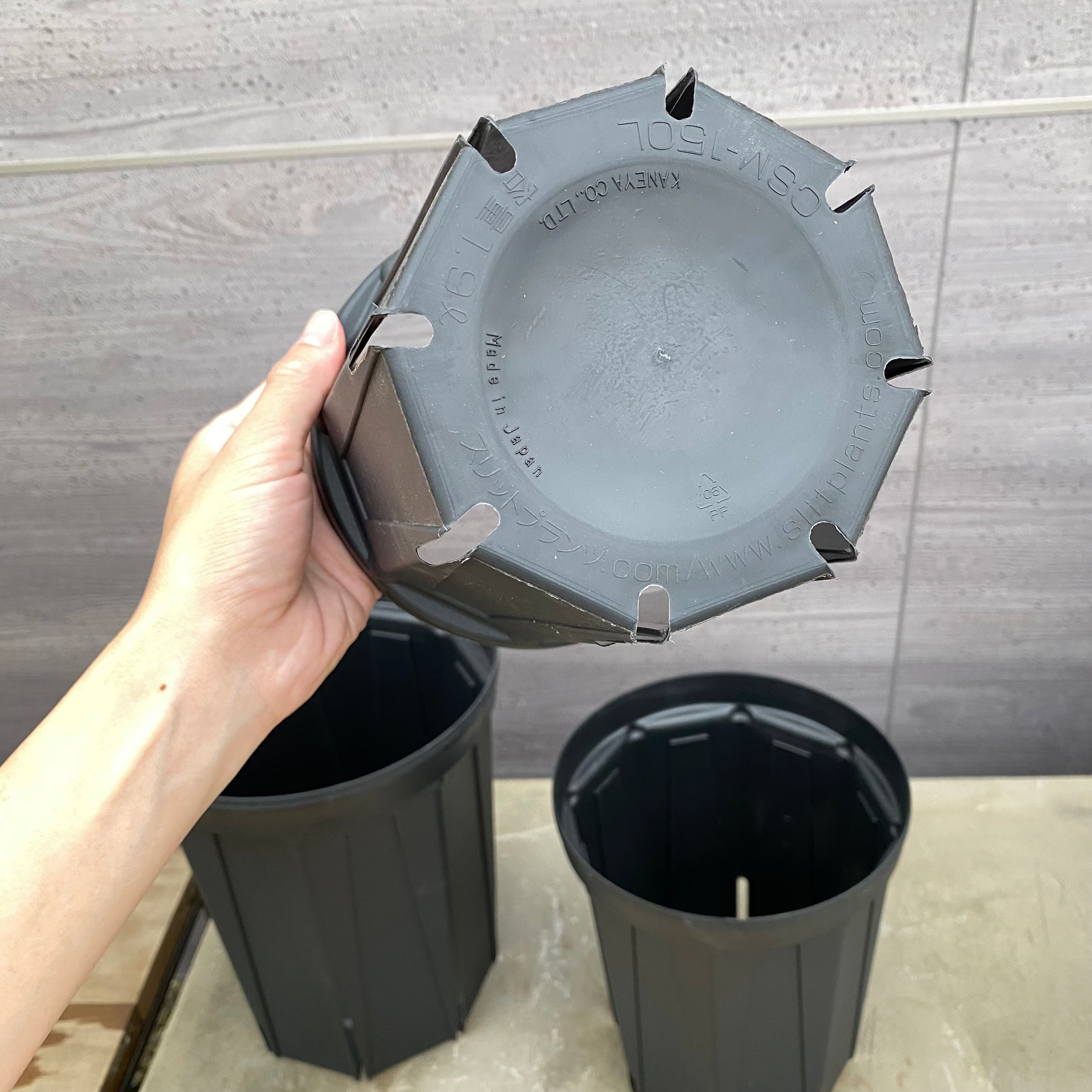 買い誠実 スリット鉢/ブラック 植物家族 – 3ポットセット 5号・6号・7号 塊根植物・コーデックス