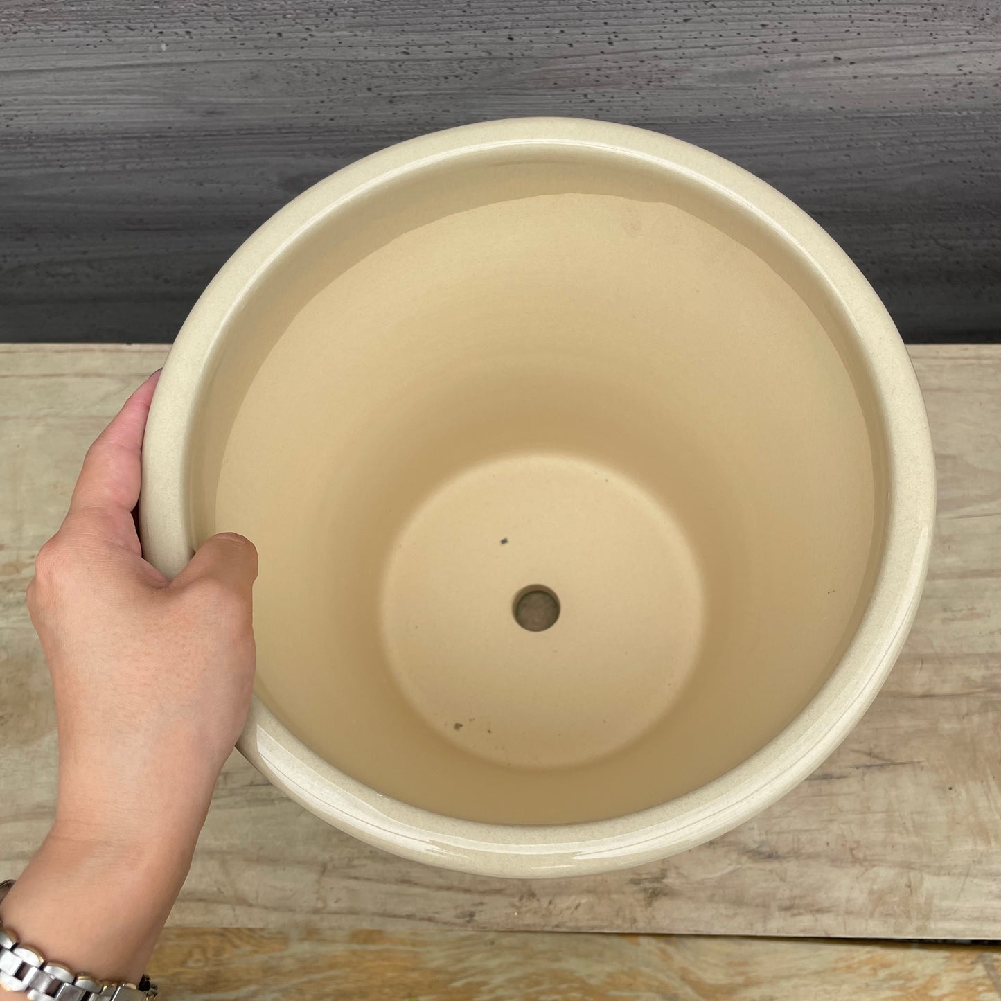 William Morris陶器鉢　Cタイプ　L