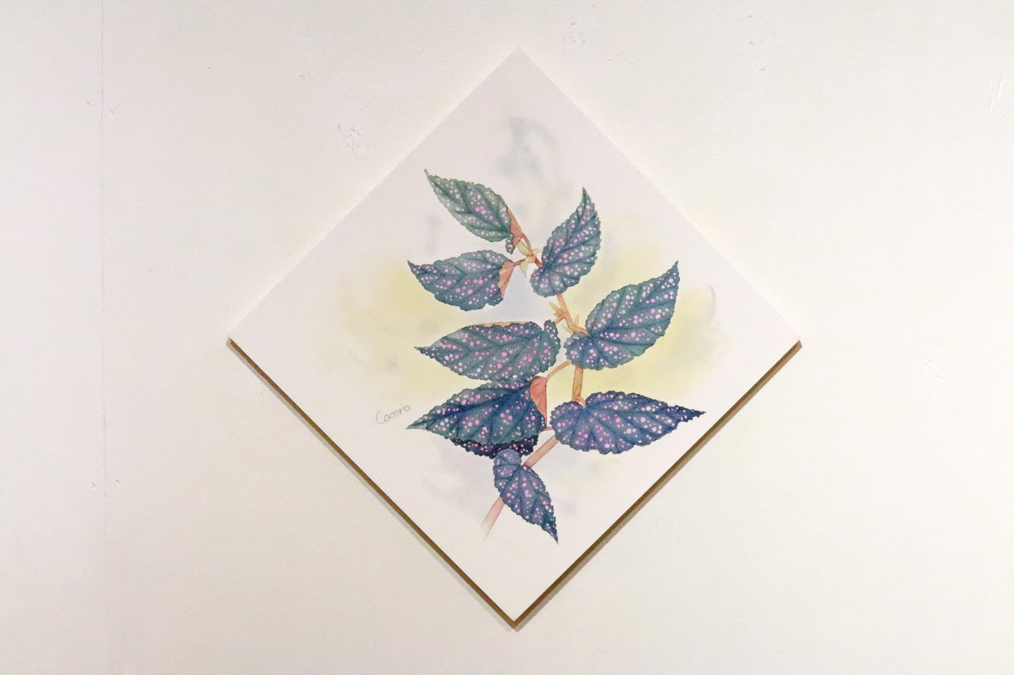 原画★木立性ベゴニア　Benigo　Aタイプ　20×20cm