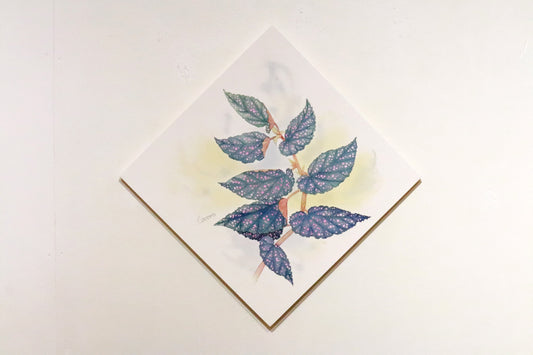 原画★木立性ベゴニア　Benigo　Aタイプ　20×20cm