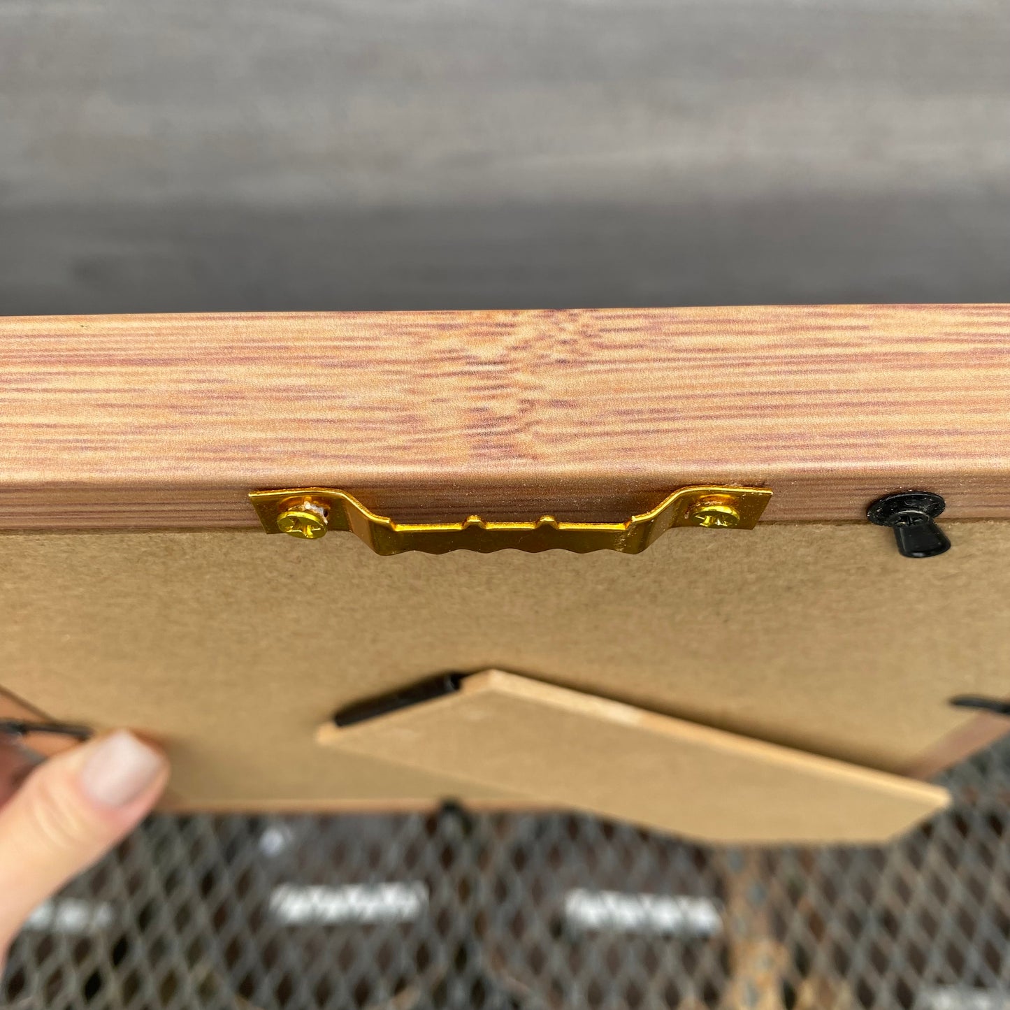 ボタニカルアートフレーム　アガベC