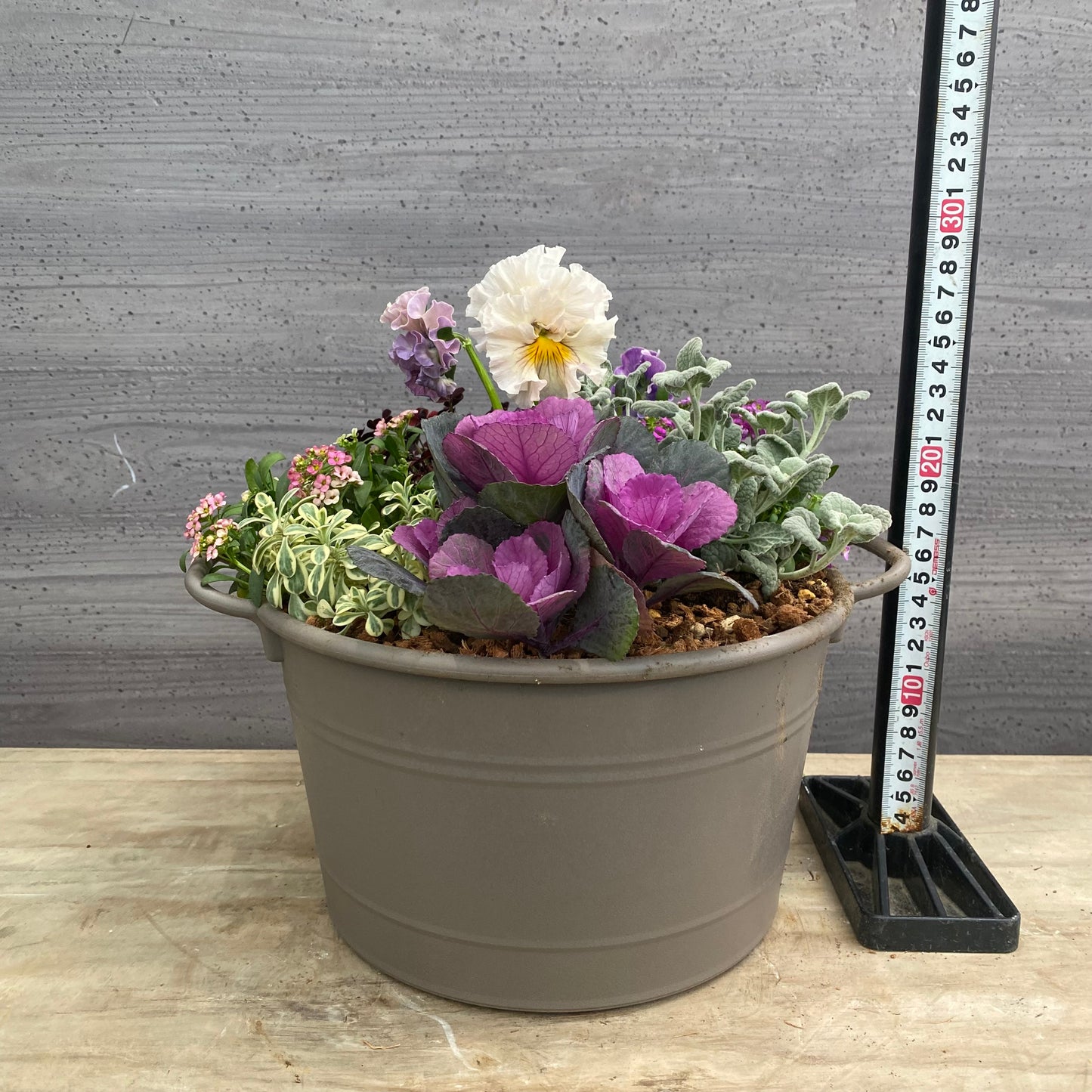 寄せ植えJ　手つきポットグレー