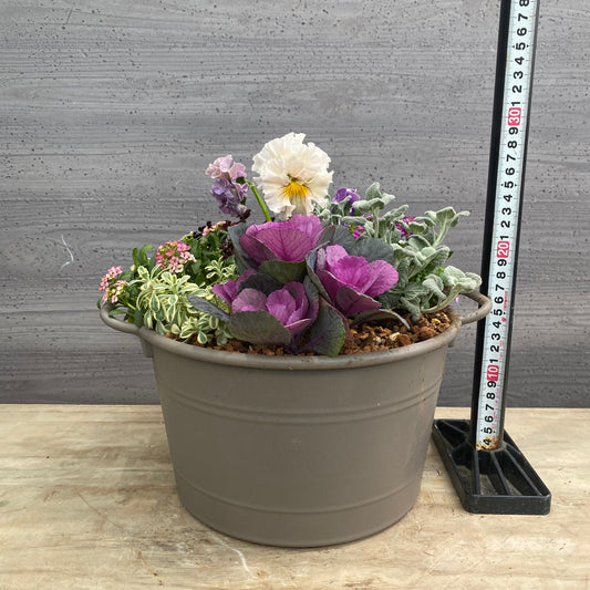 寄せ植えJ　手つきポットグレー